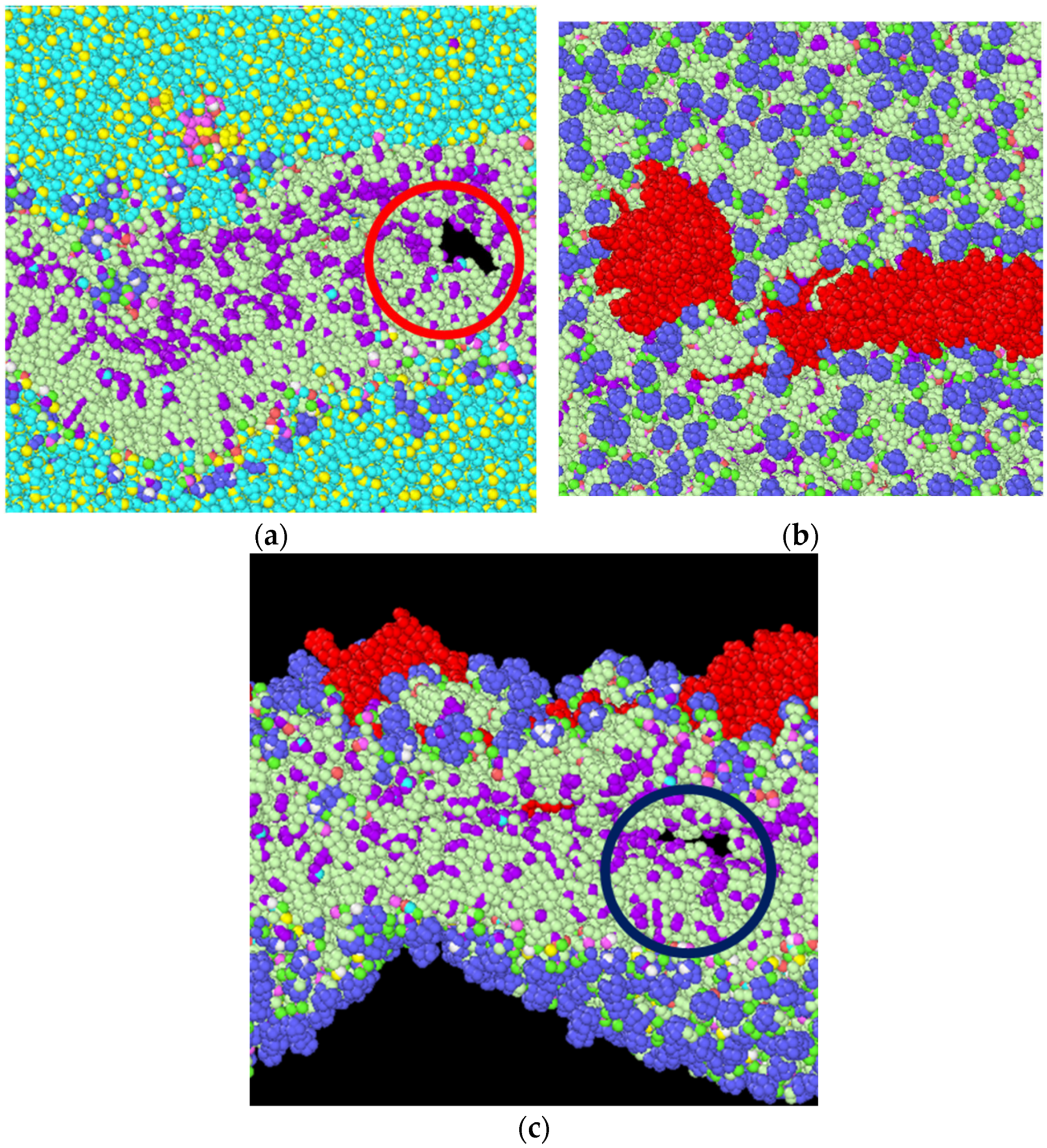 Biomolecules 13 01525 g007