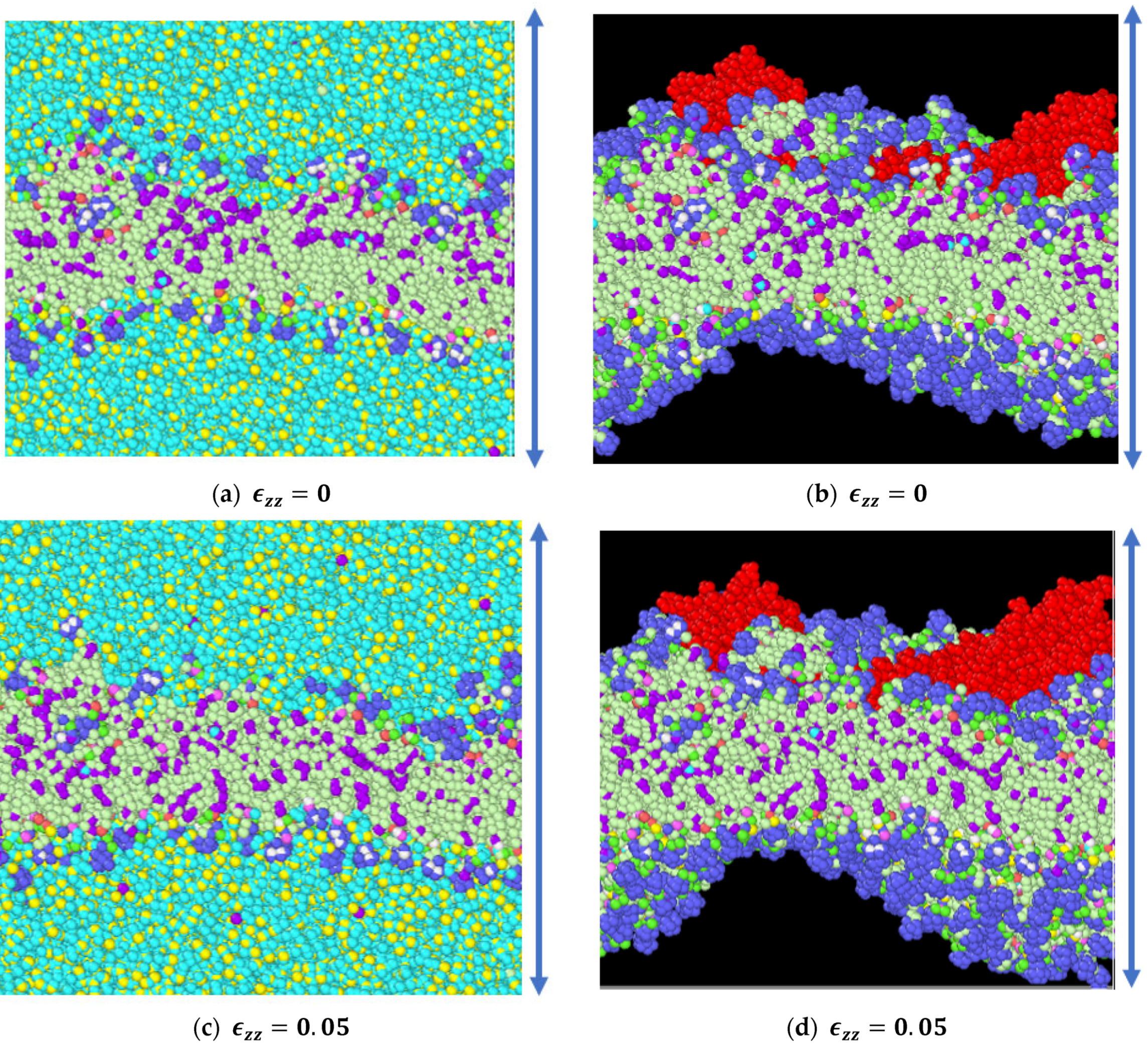 Biomolecules 13 01525 g008