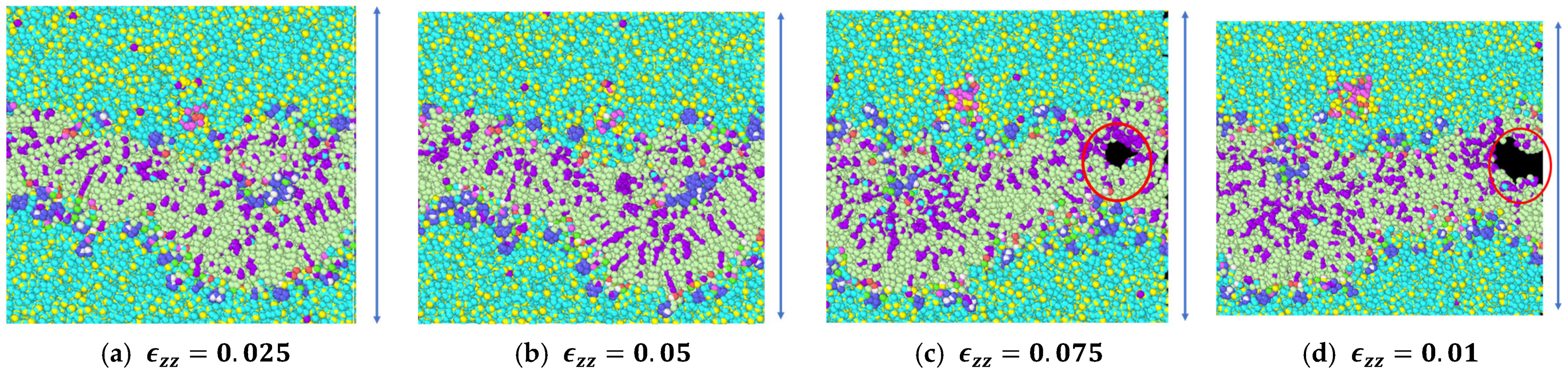 Biomolecules 13 01525 g009