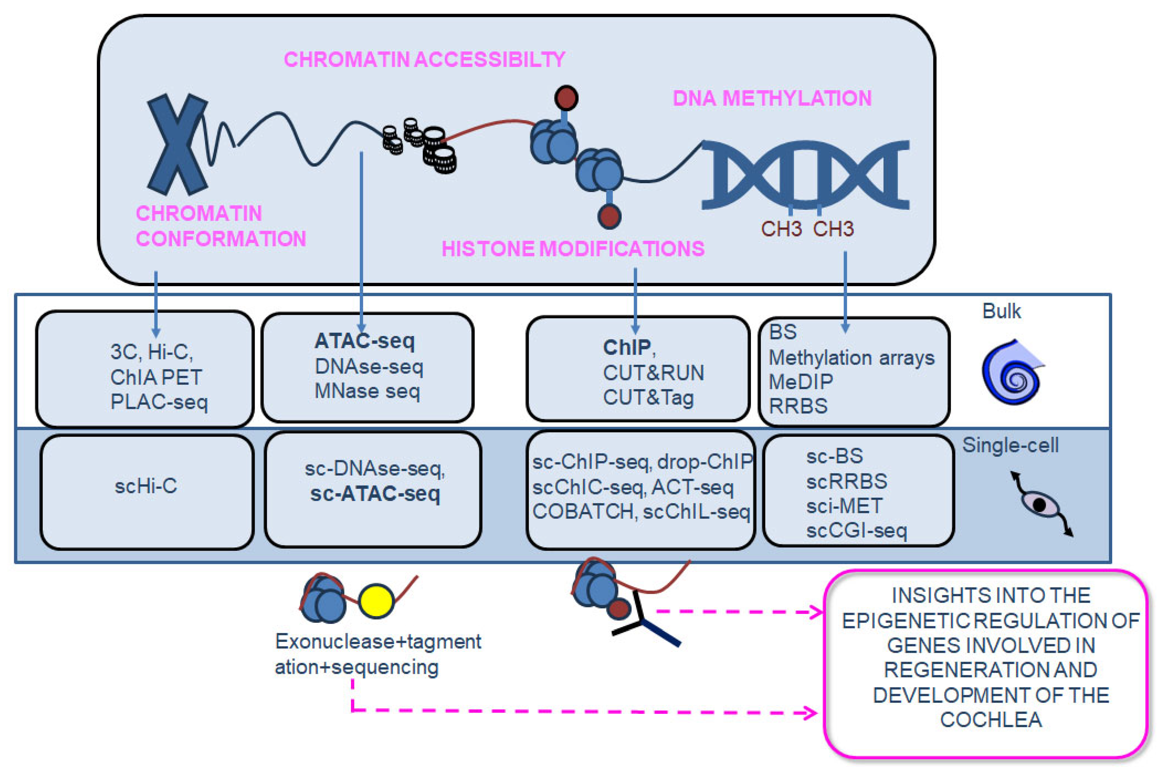 Biomolecules 13 01534 g004 Biomolecules 13 01534 g004