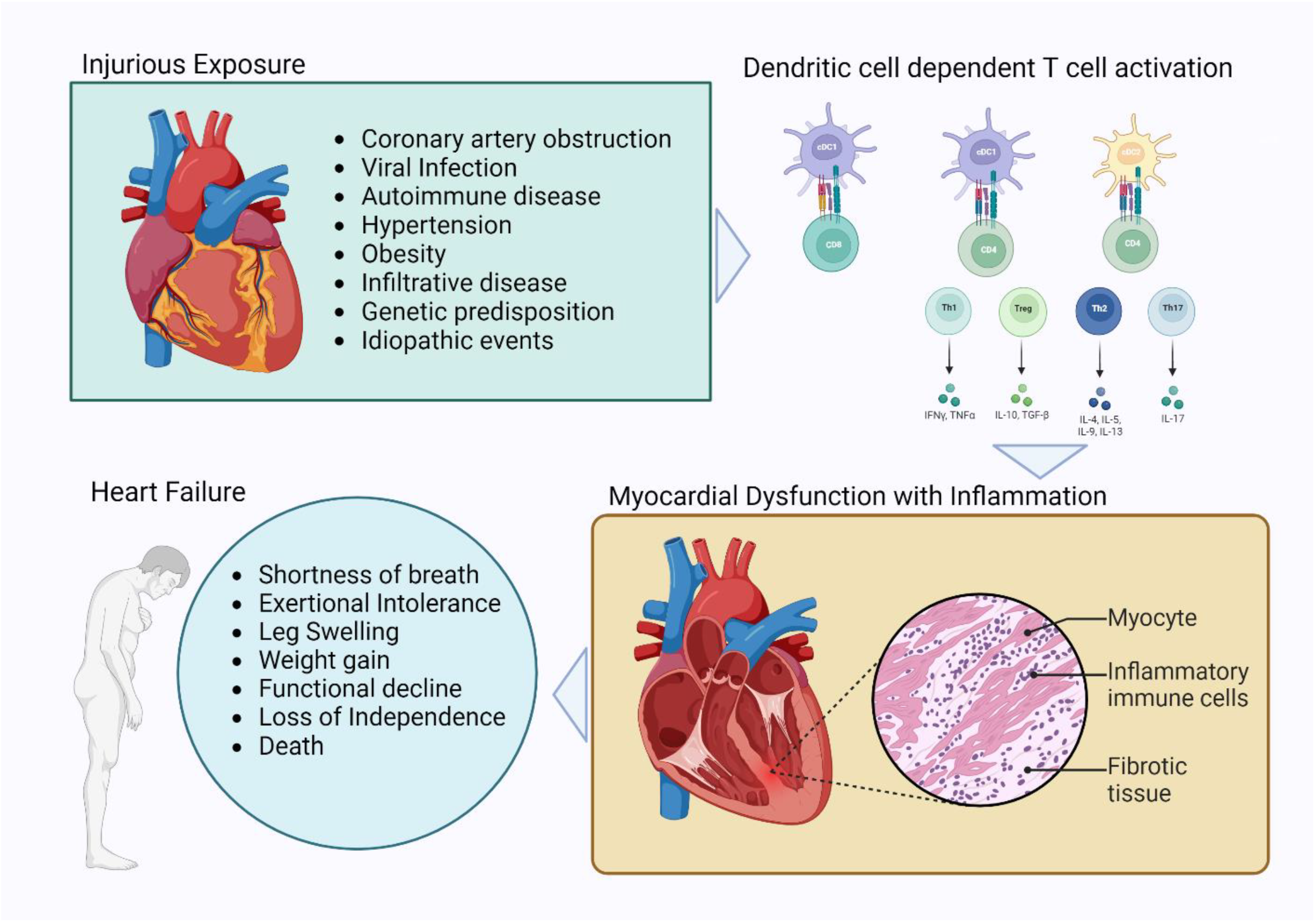 Biomolecules 13 01535 g001