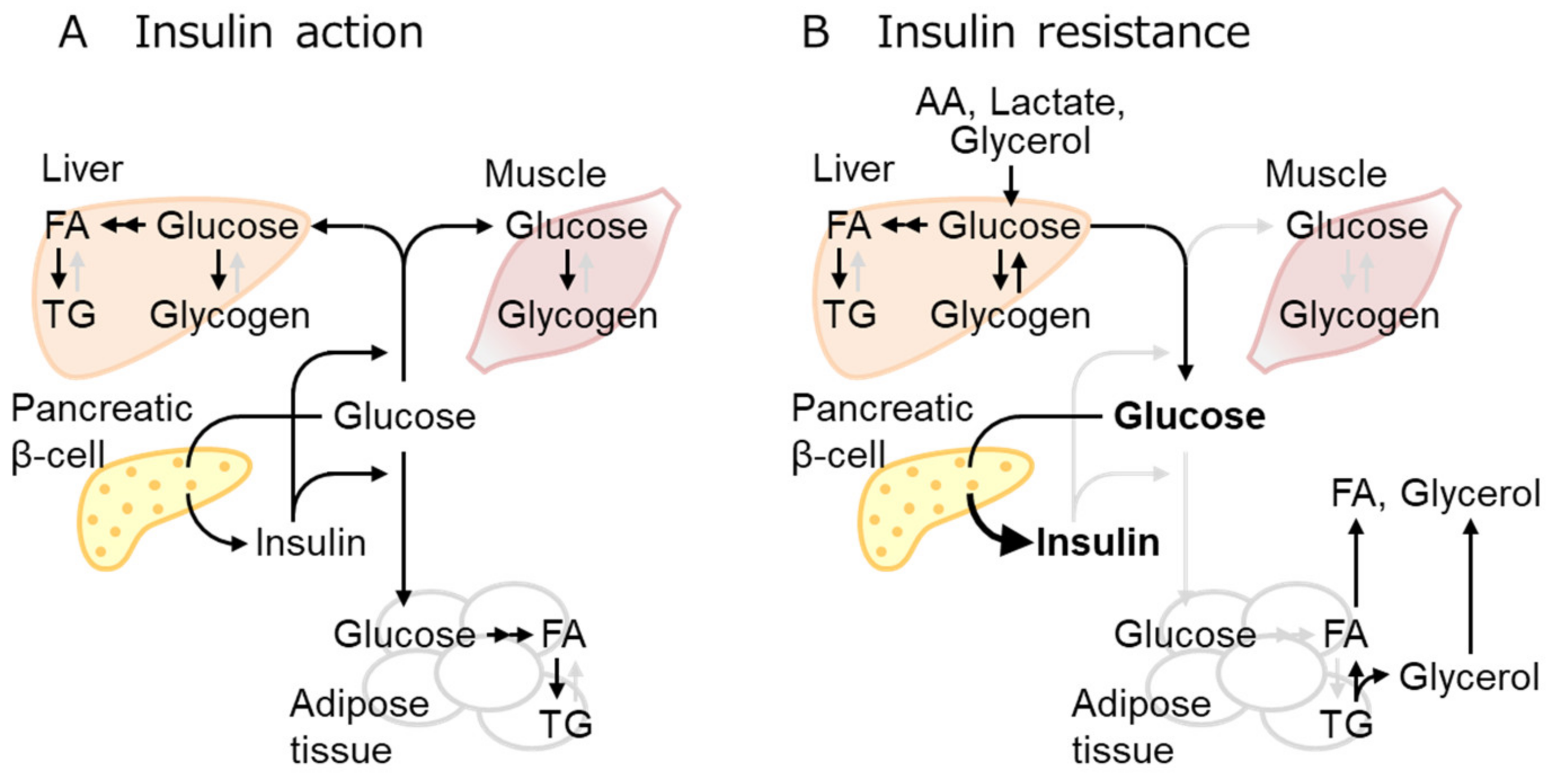 Biomolecules 13 01544 g001