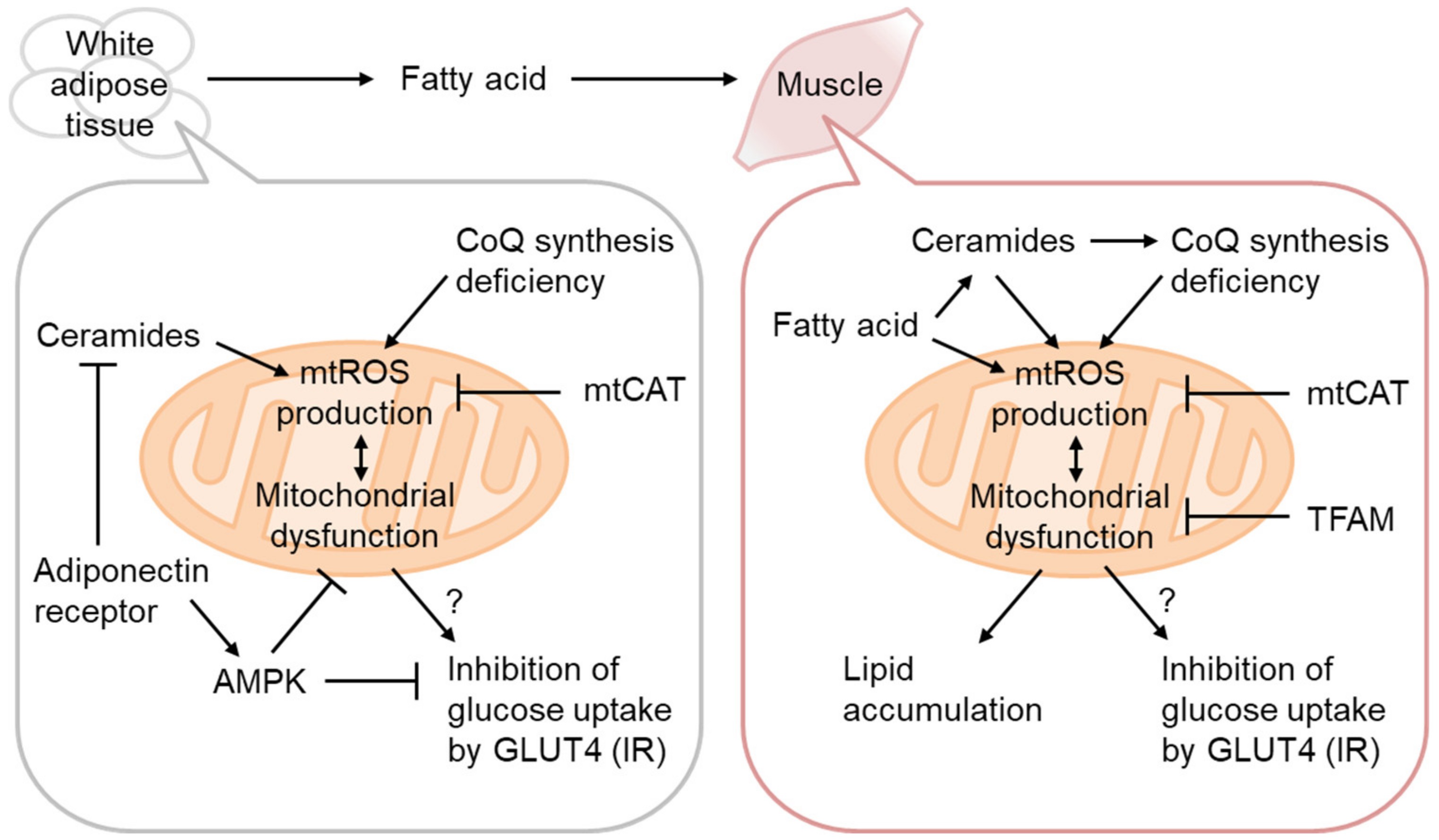 Biomolecules 13 01544 g003