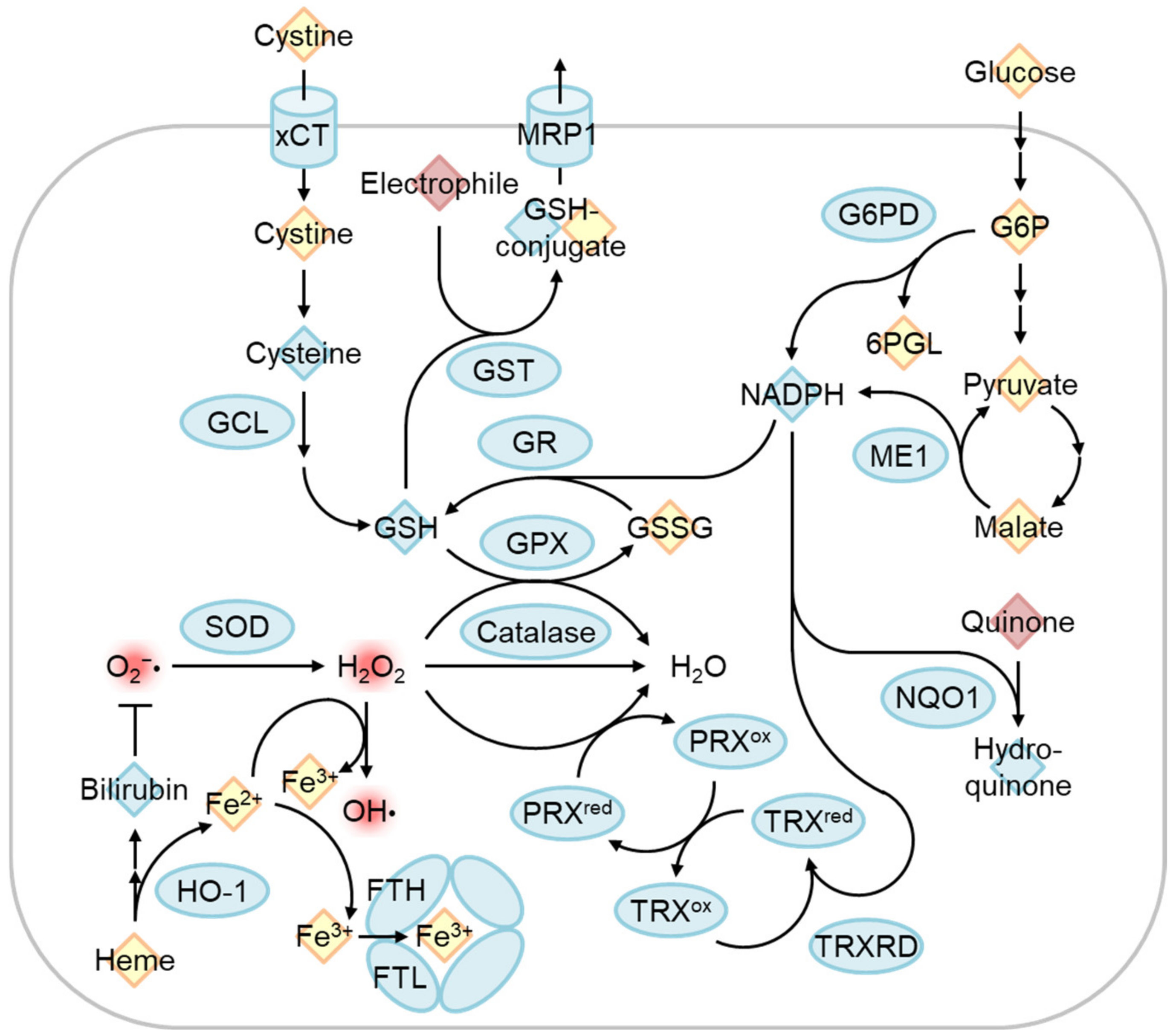 Biomolecules 13 01544 g005
