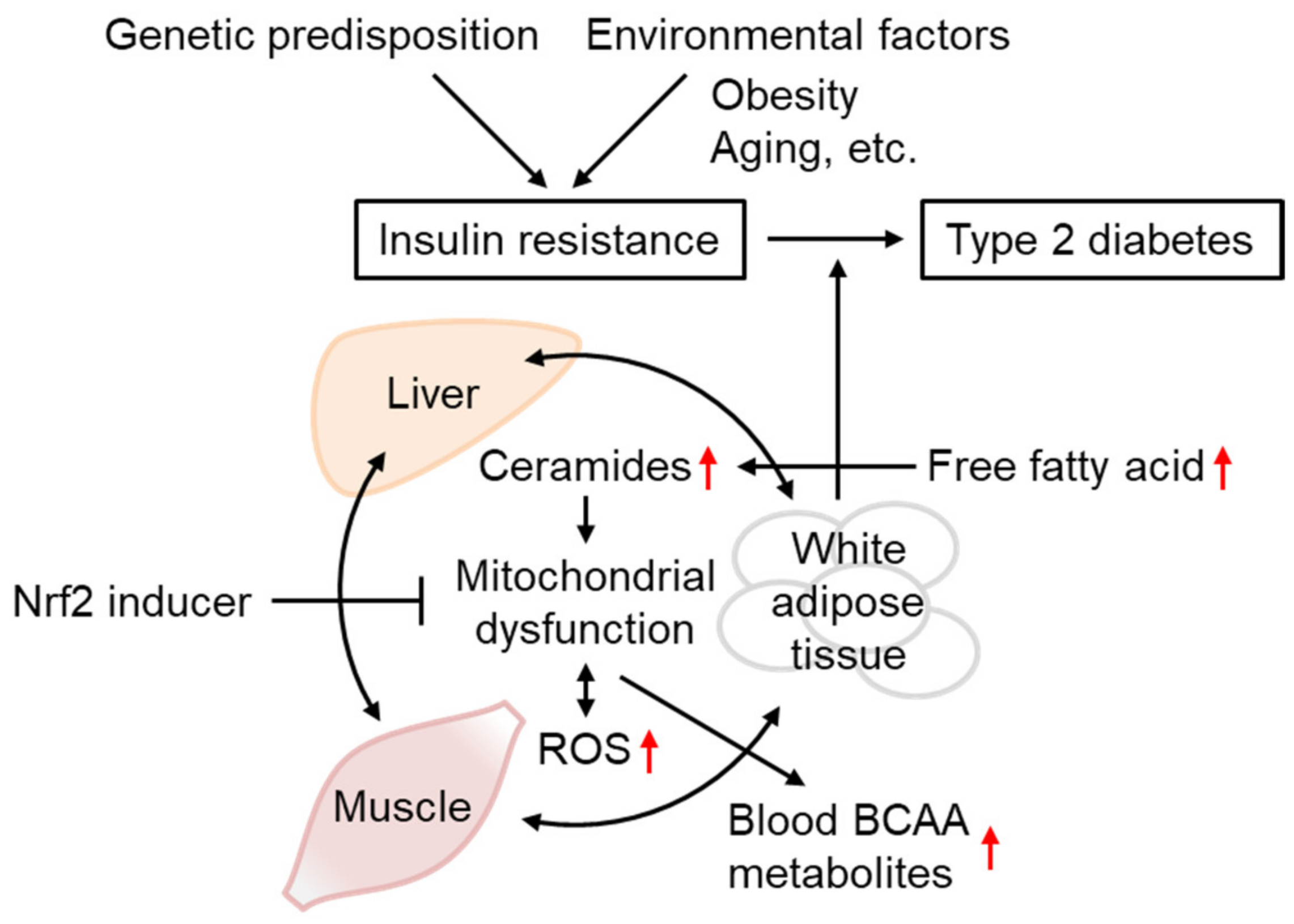 Biomolecules 13 01544 g007