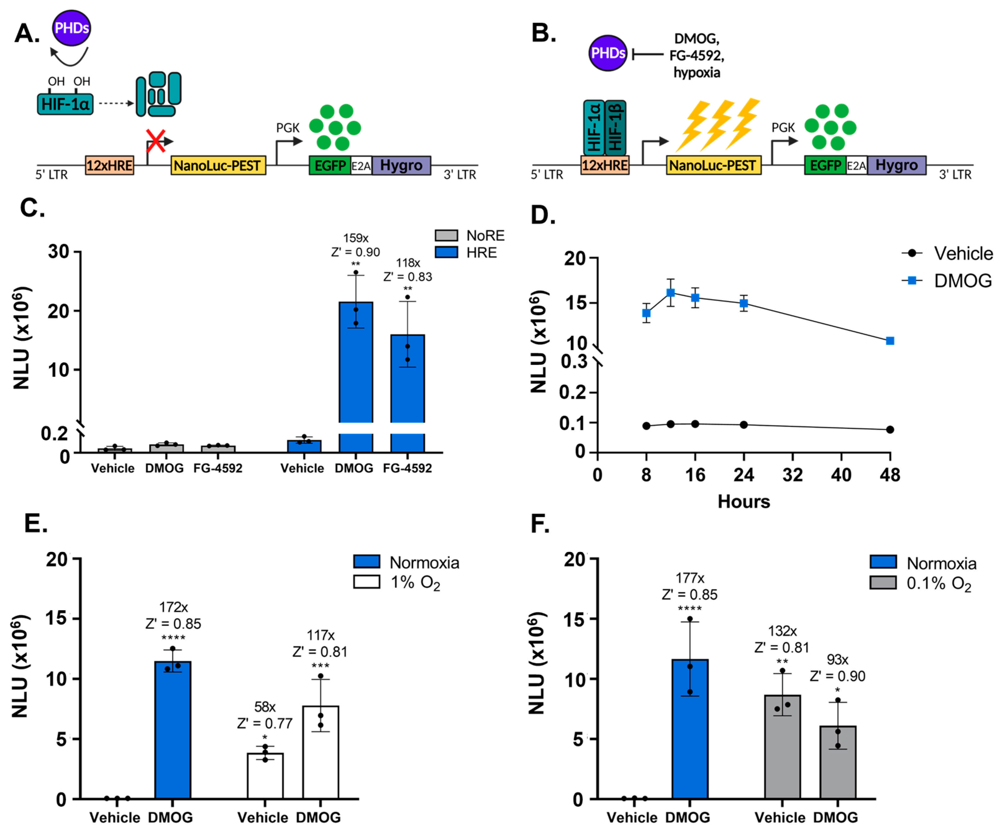 Biomolecules 13 01545 g001