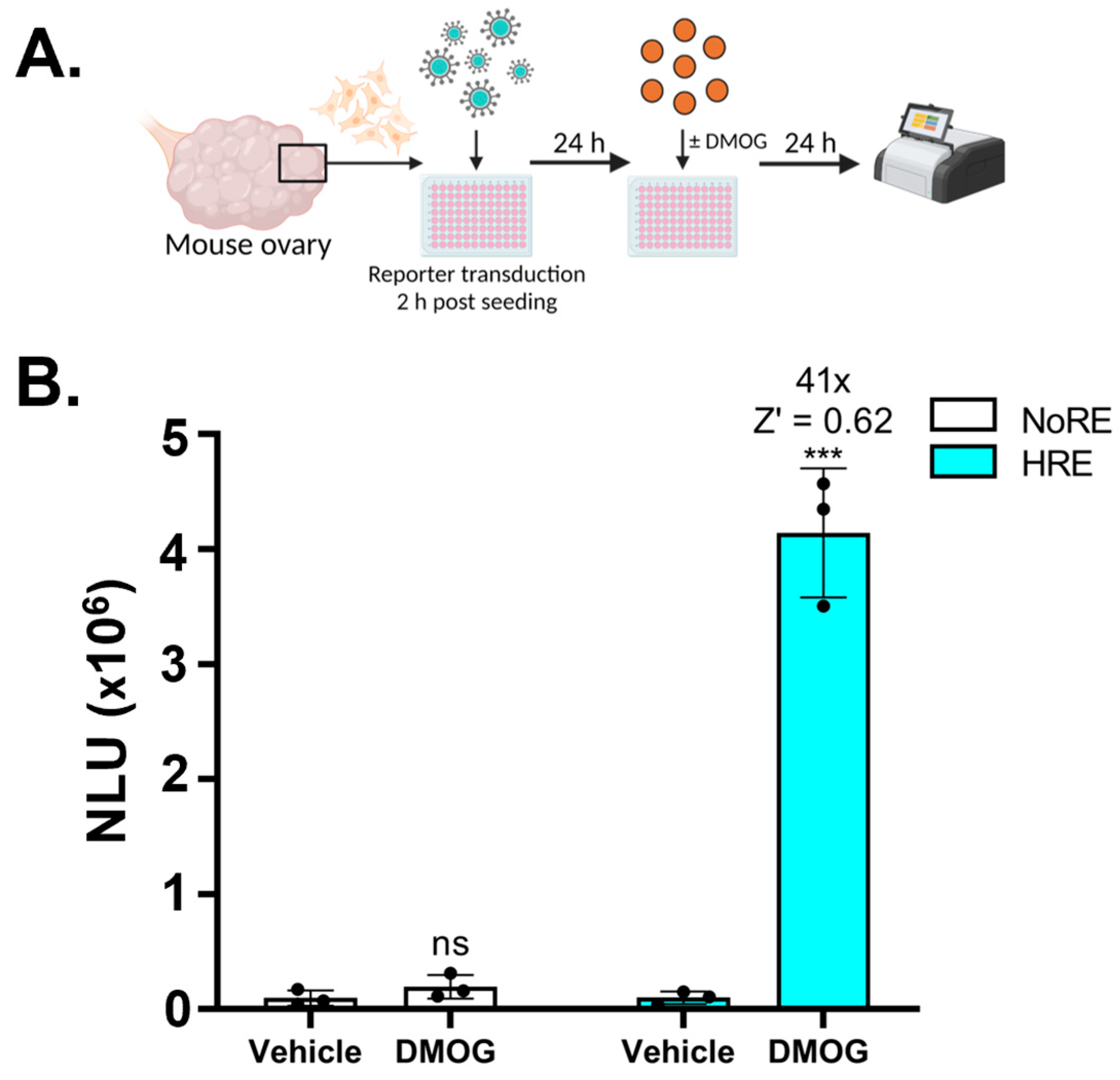 Biomolecules 13 01545 g003