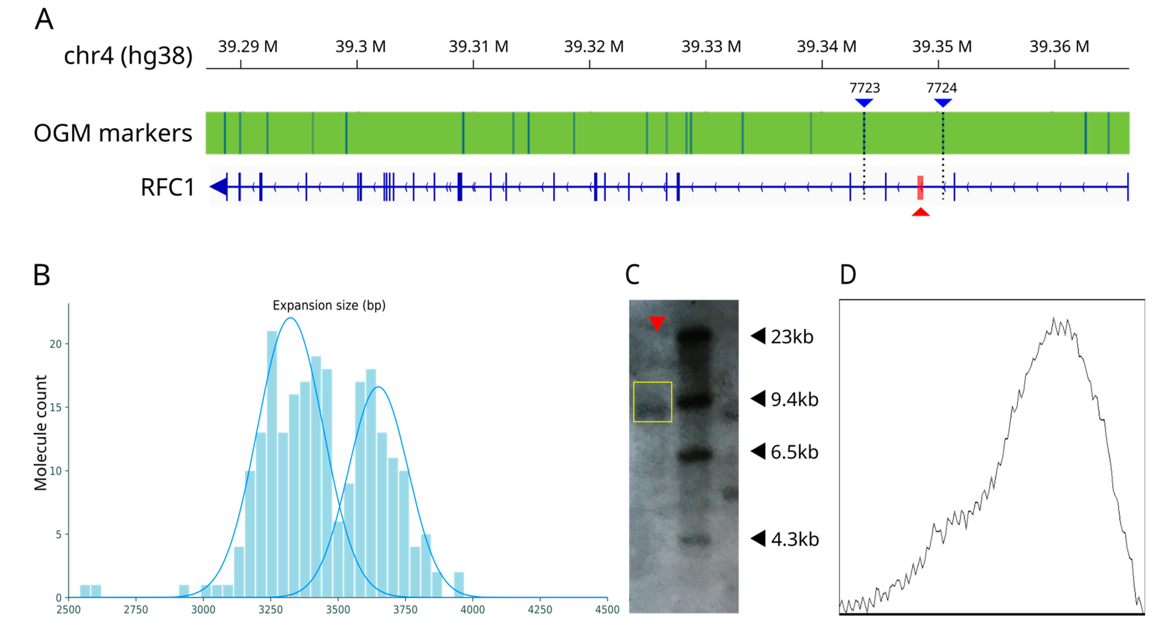 Biomolecules 13 01546 g001
