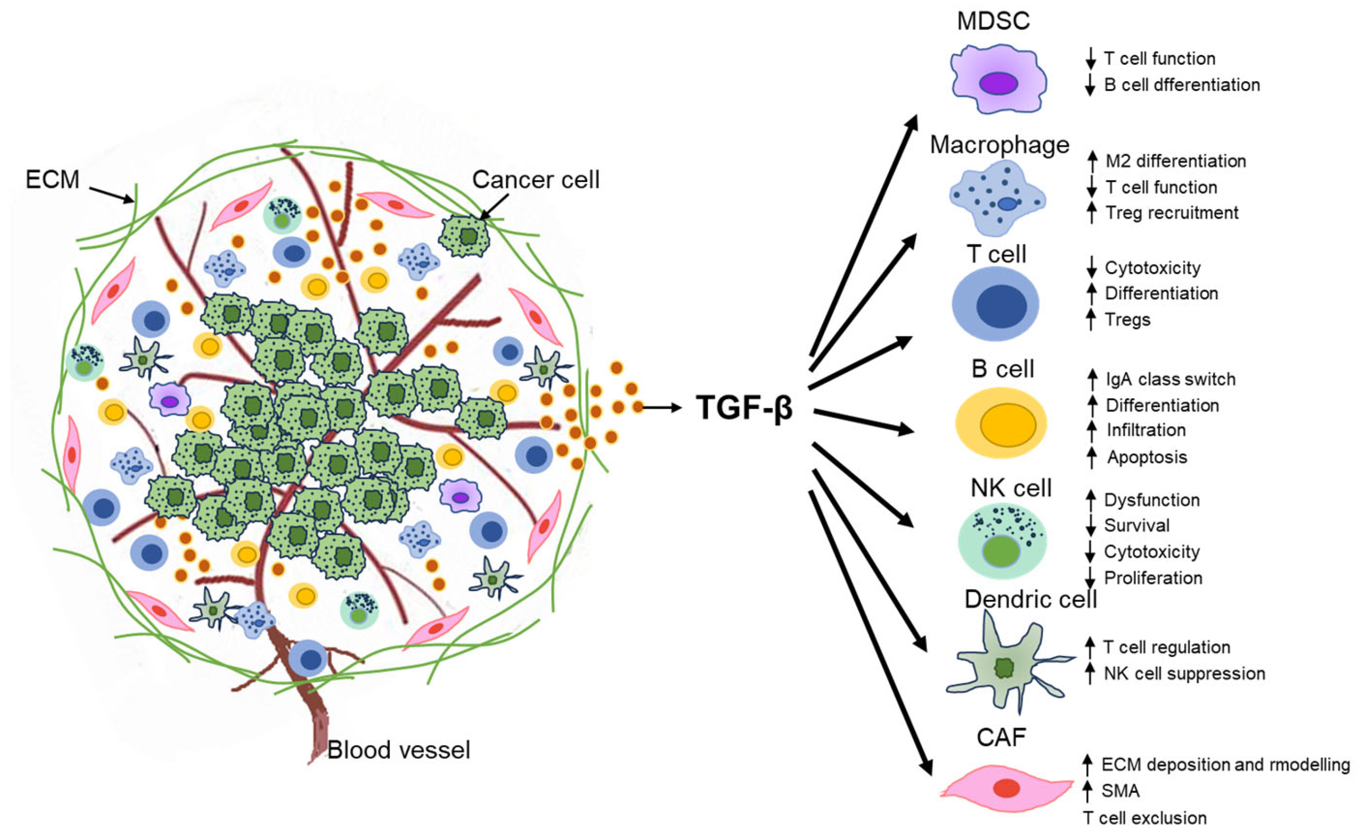 Biomolecules 13 01551 g003 Biomolecules 13 01551 g003
