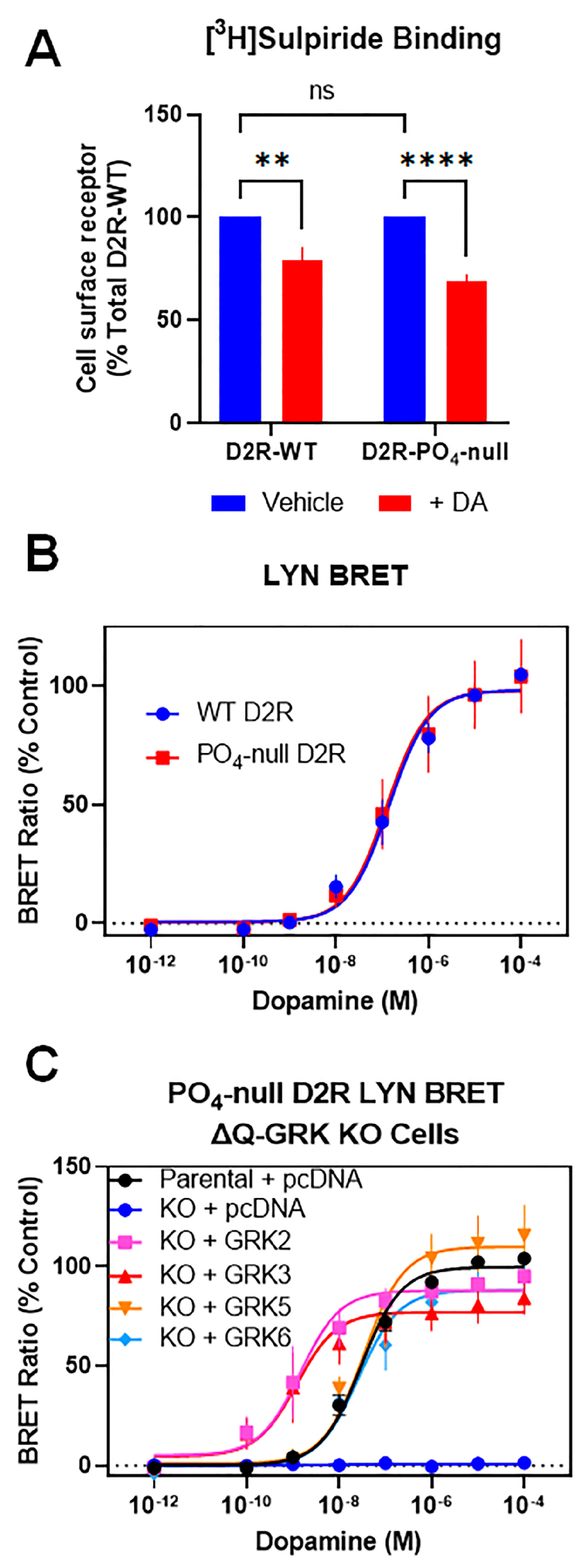 Biomolecules 13 01552 g005