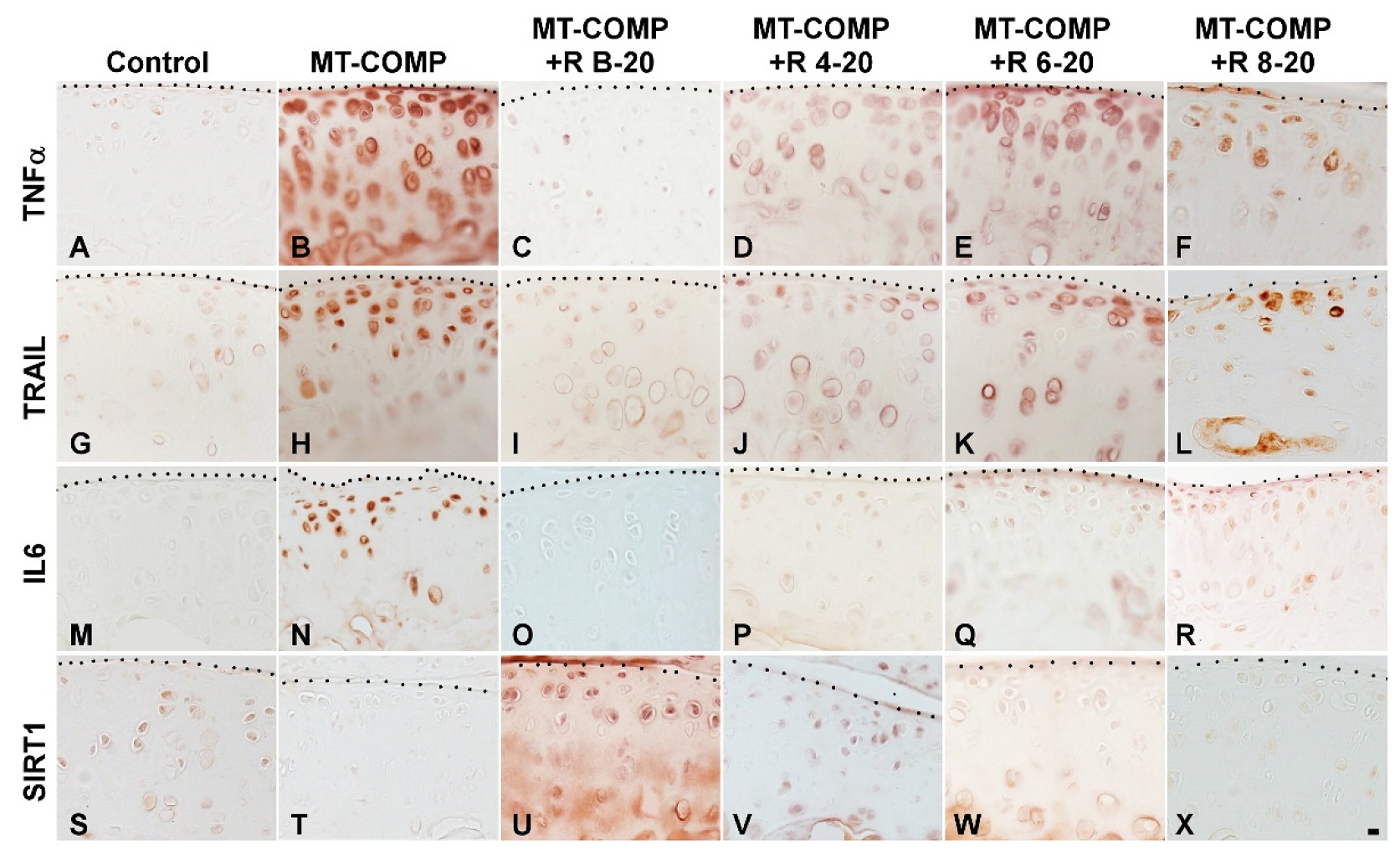 Biomolecules 13 01553 g005