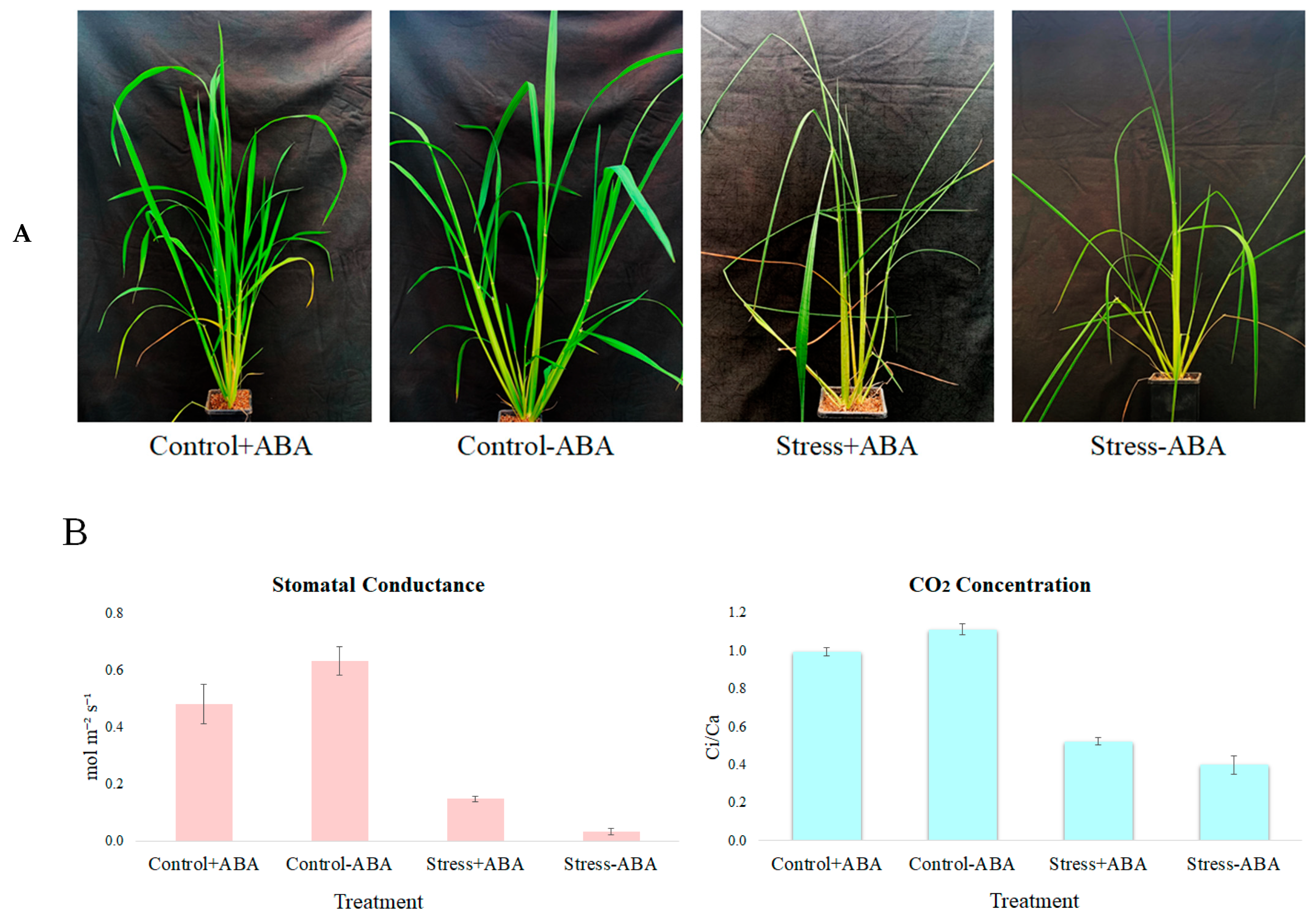 Biomolecules 13 01554 g001