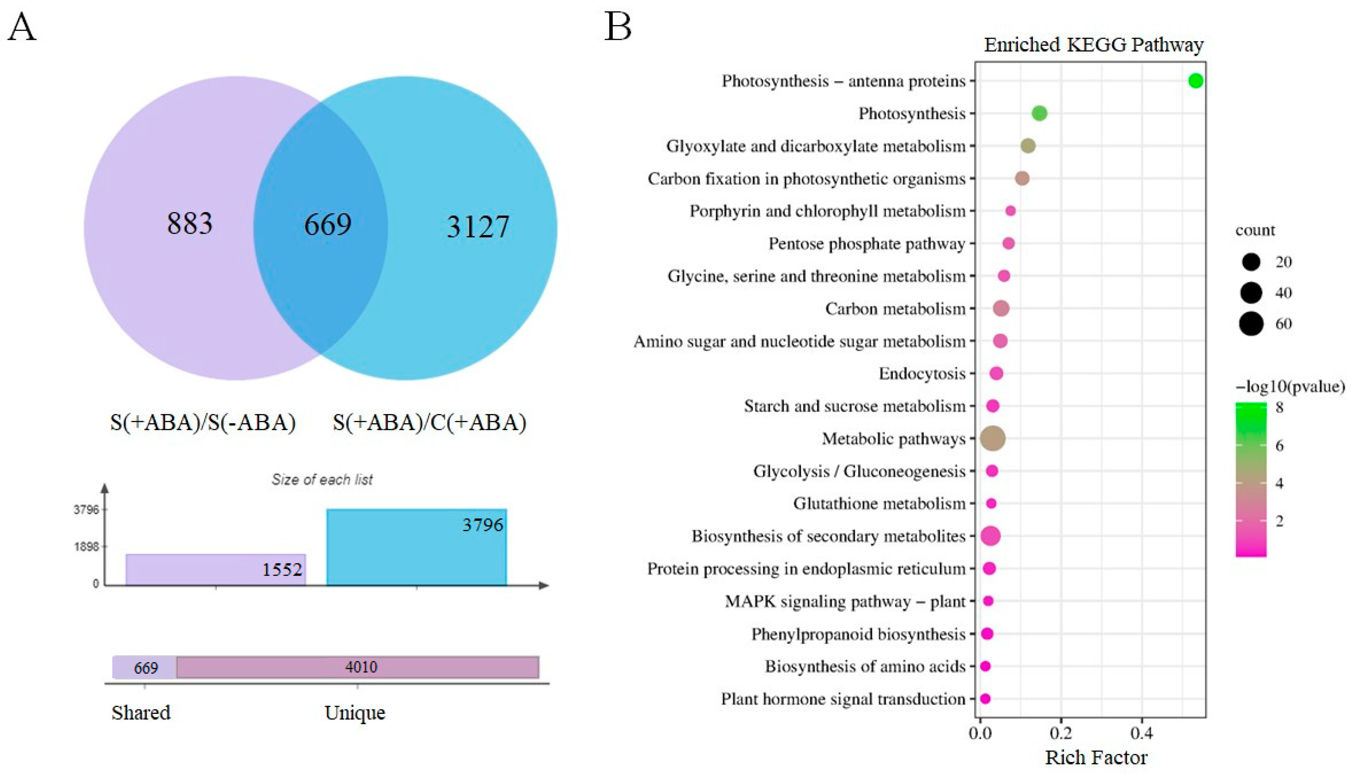 Biomolecules 13 01554 g006