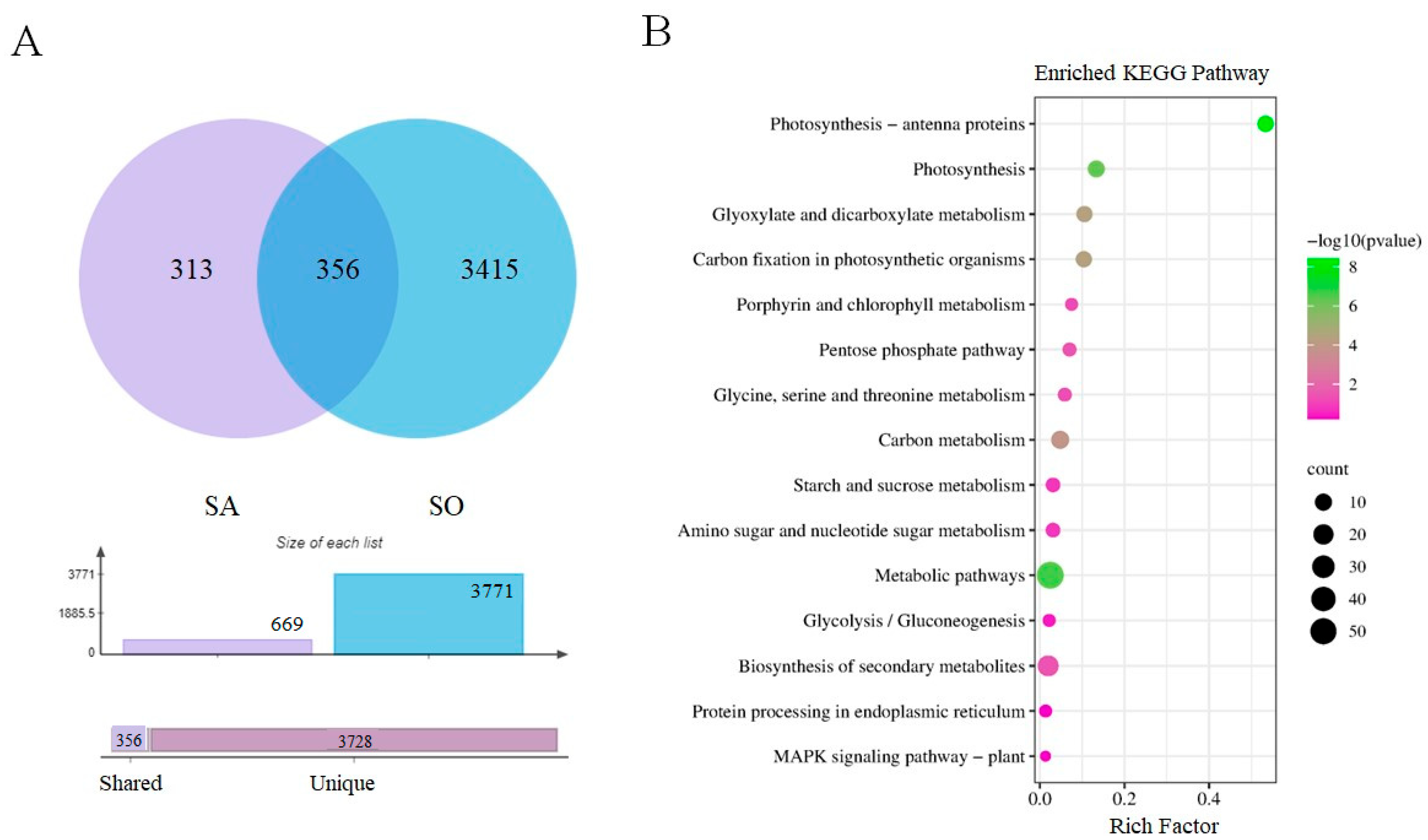 Biomolecules 13 01554 g008