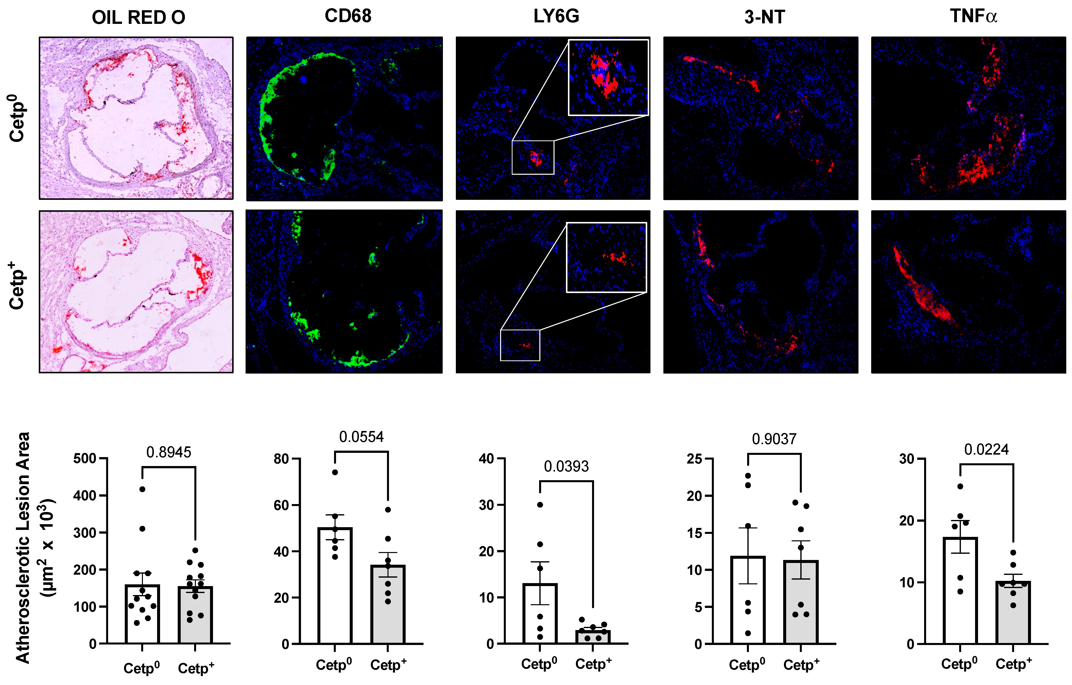 Biomolecules 13 01556 g002