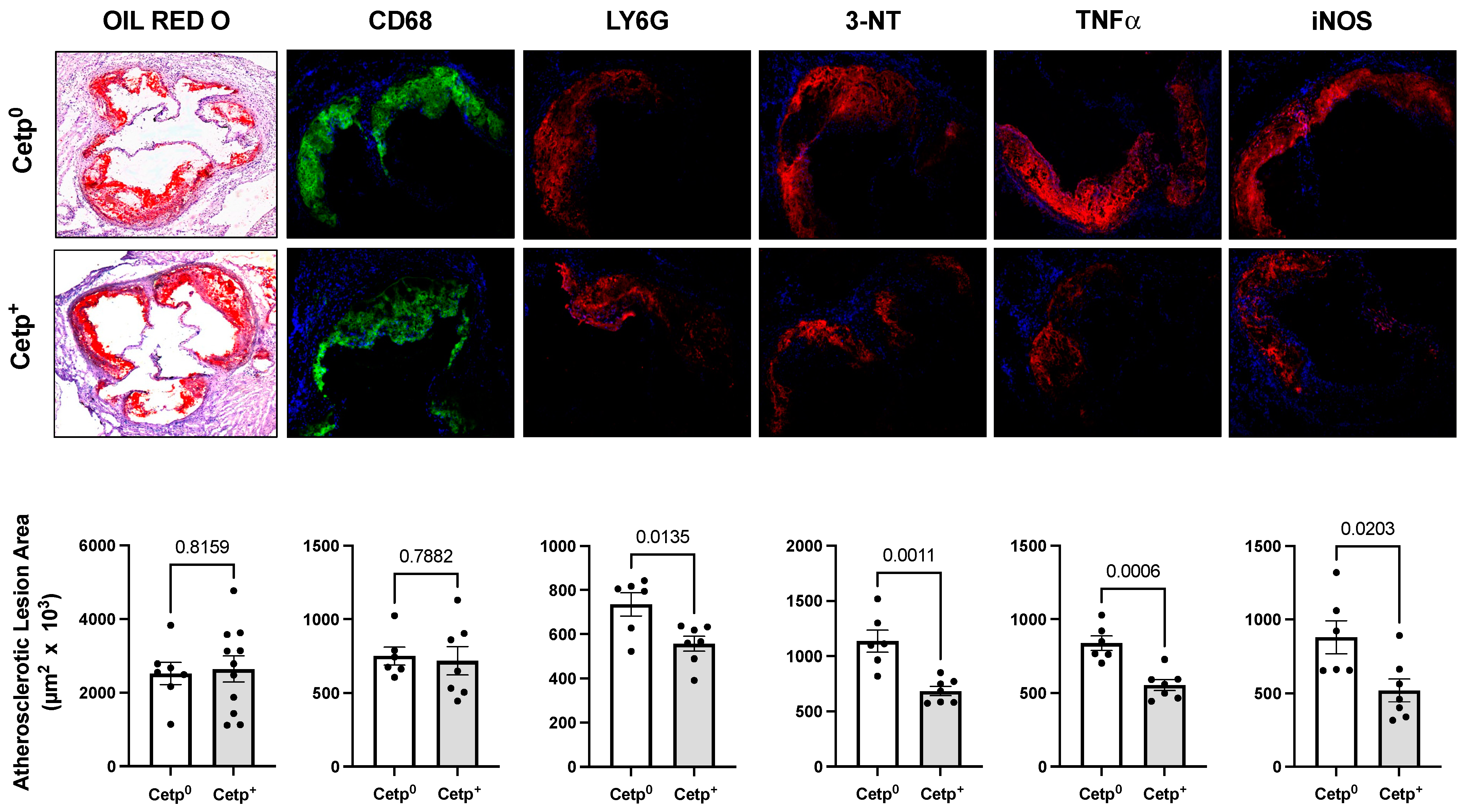 Biomolecules 13 01556 g003