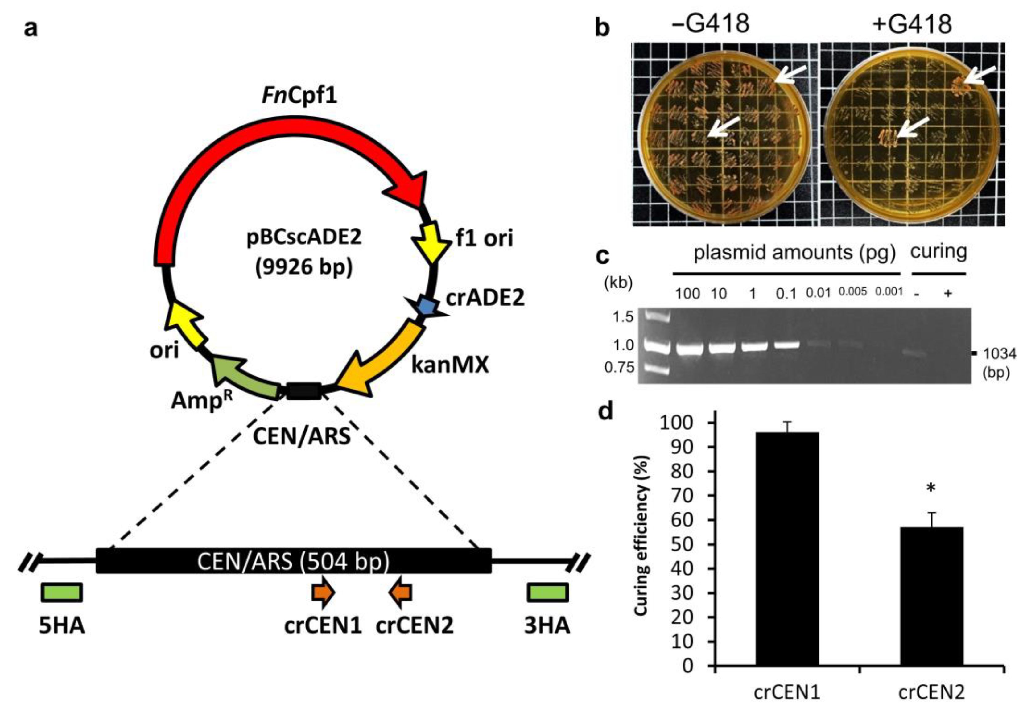 Biomolecules 13 01561 g001