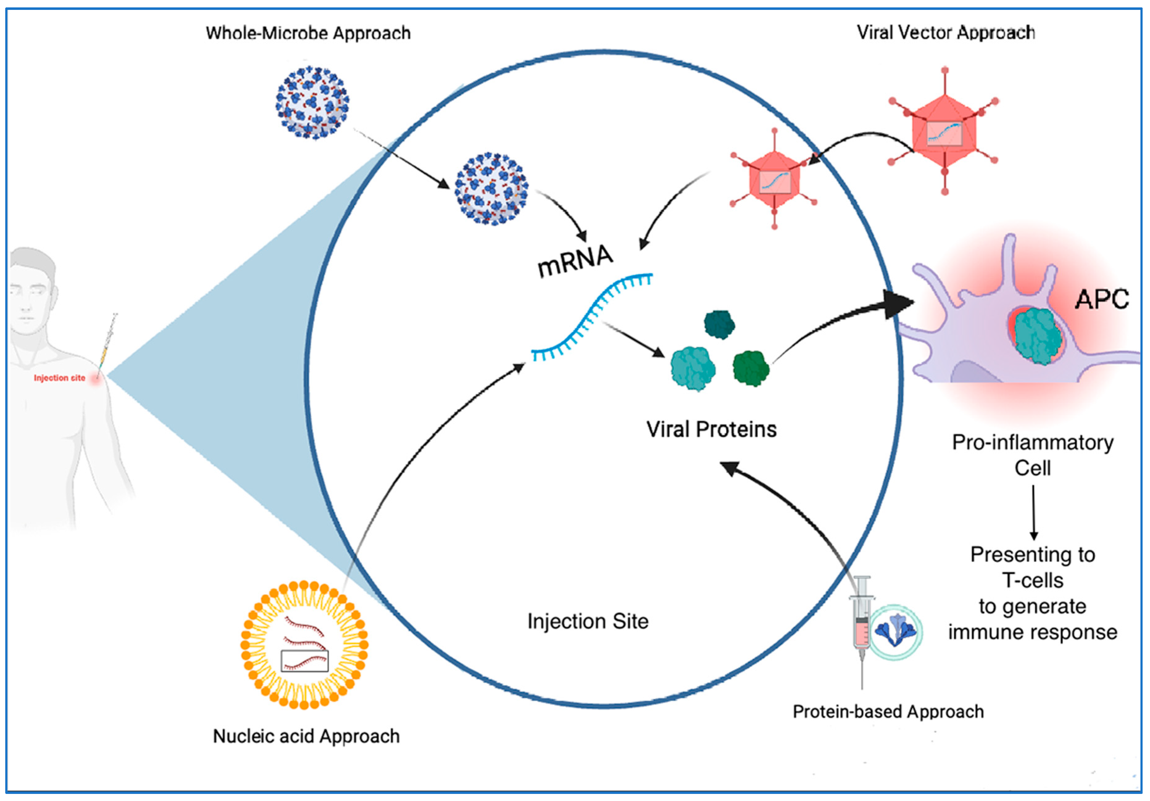 Biomolecules 13 01565 g001