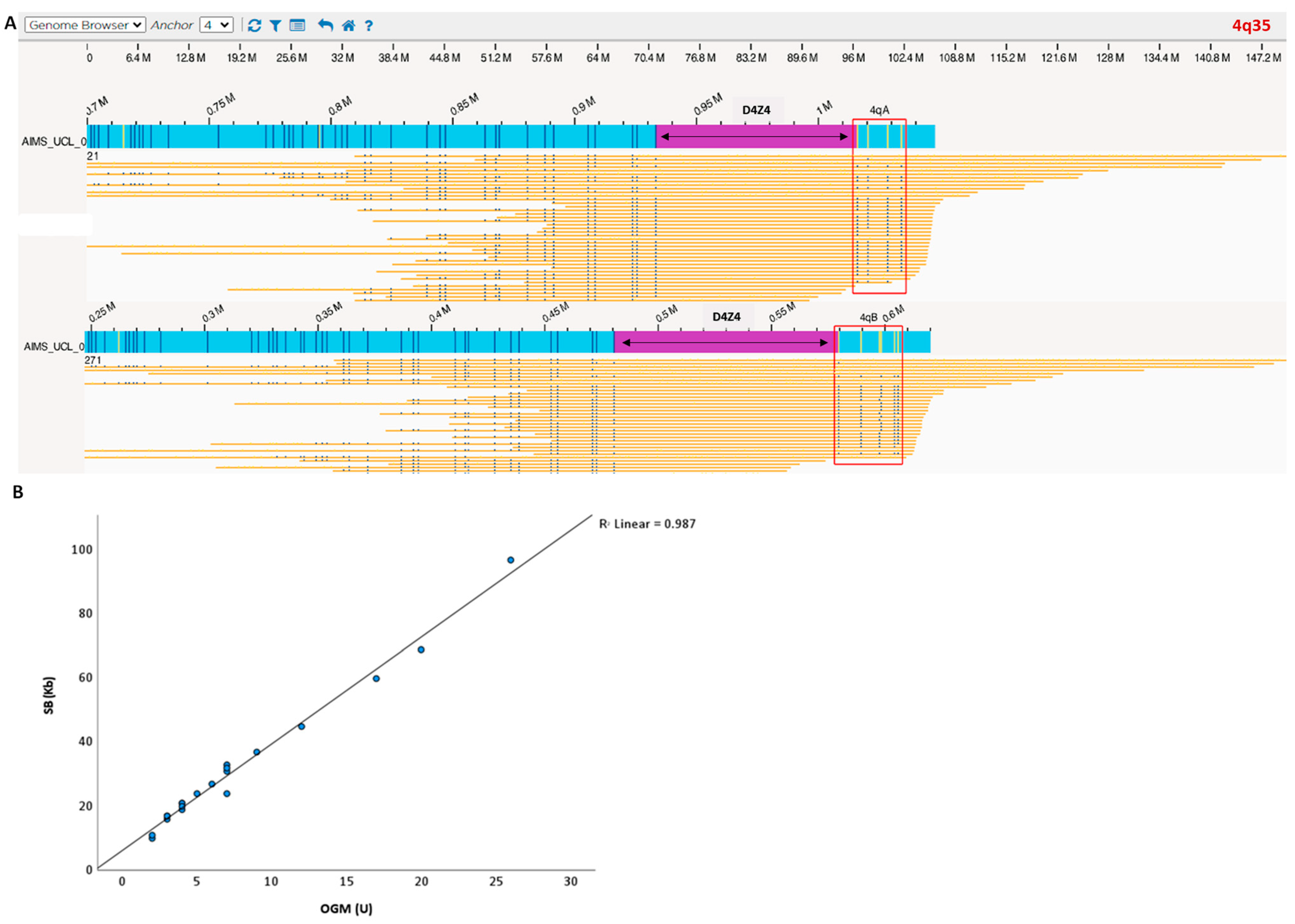 Biomolecules 13 01567 g001