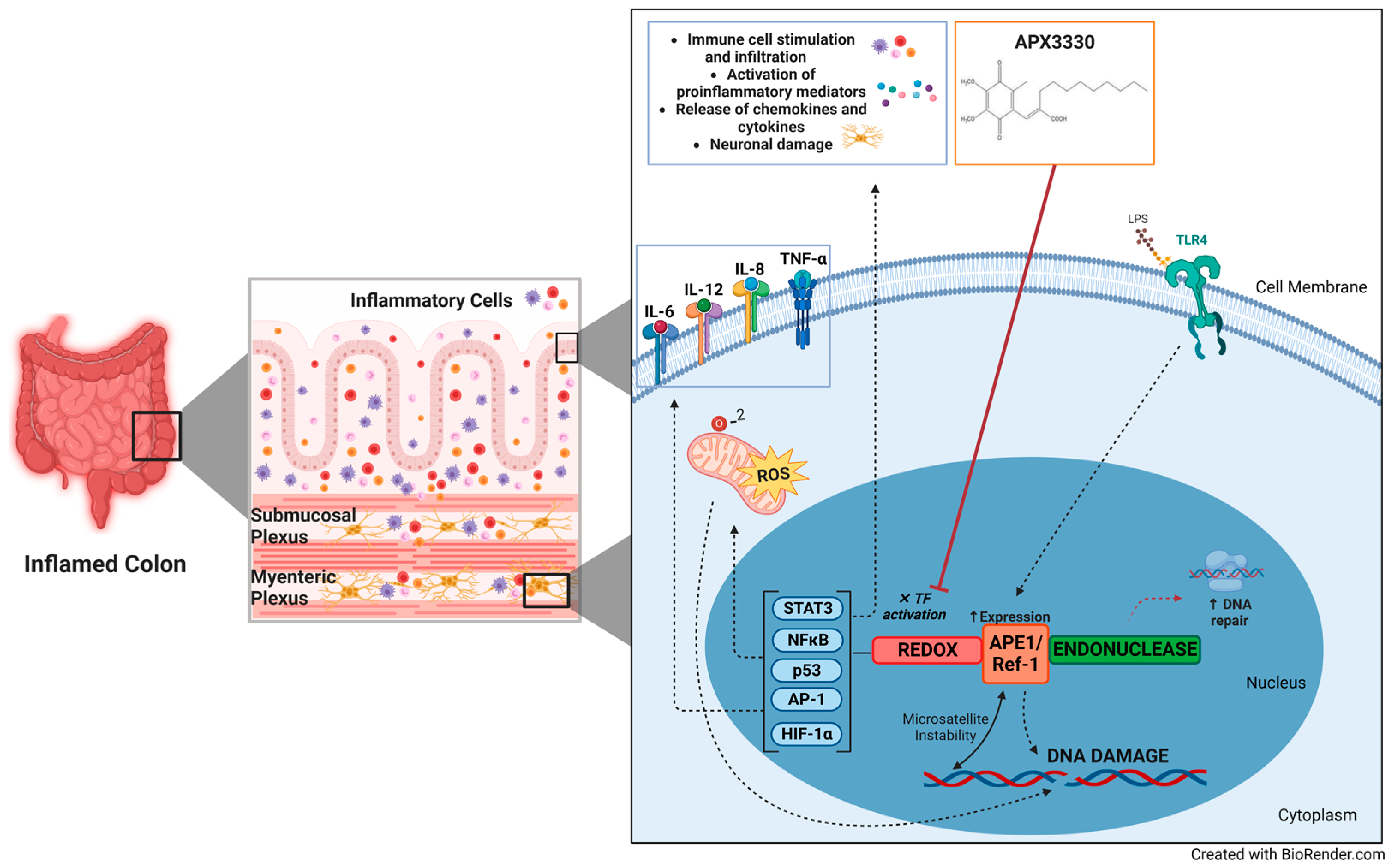Biomolecules 13 01569 g001