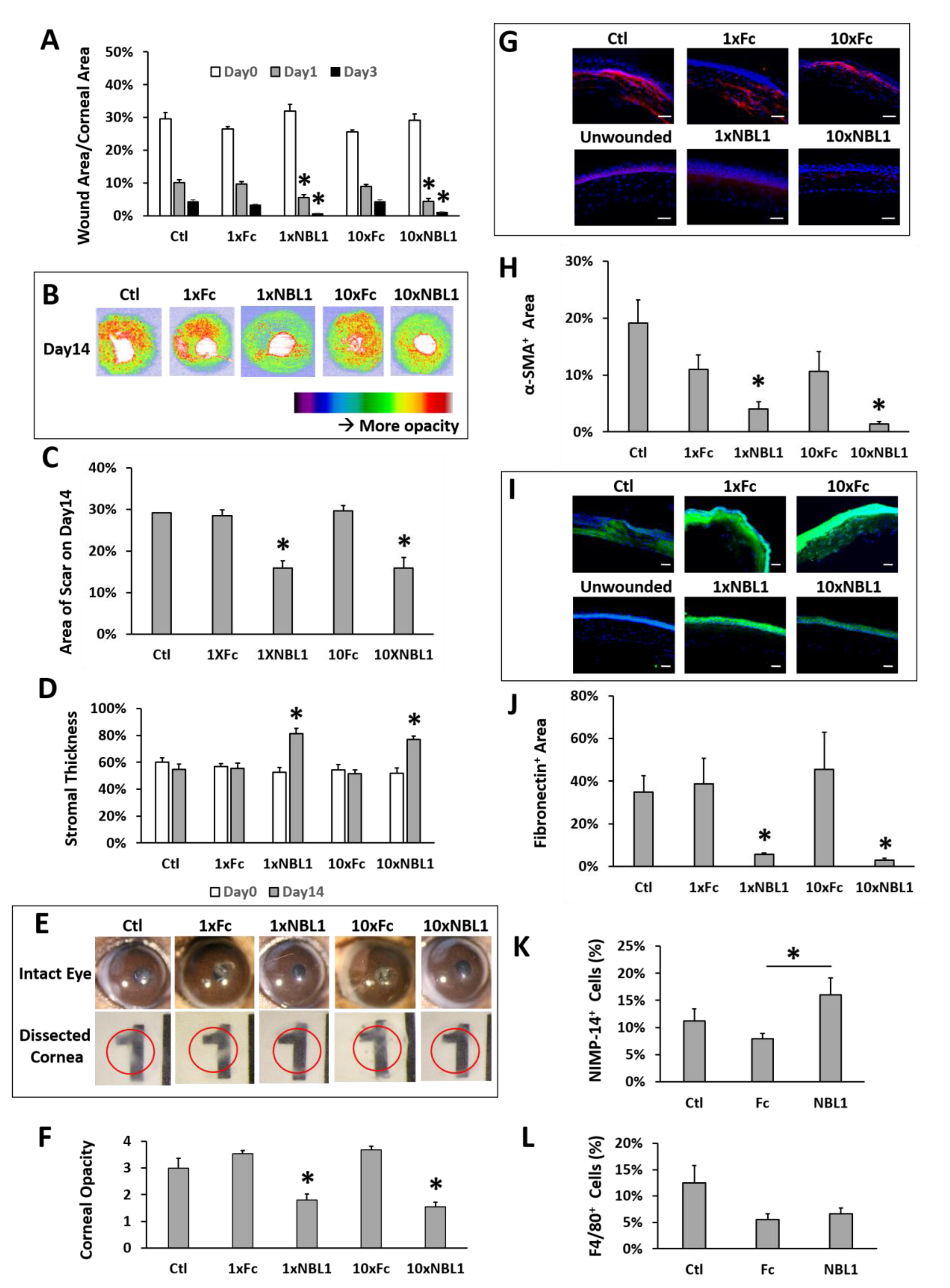 Biomolecules 13 01570 g003