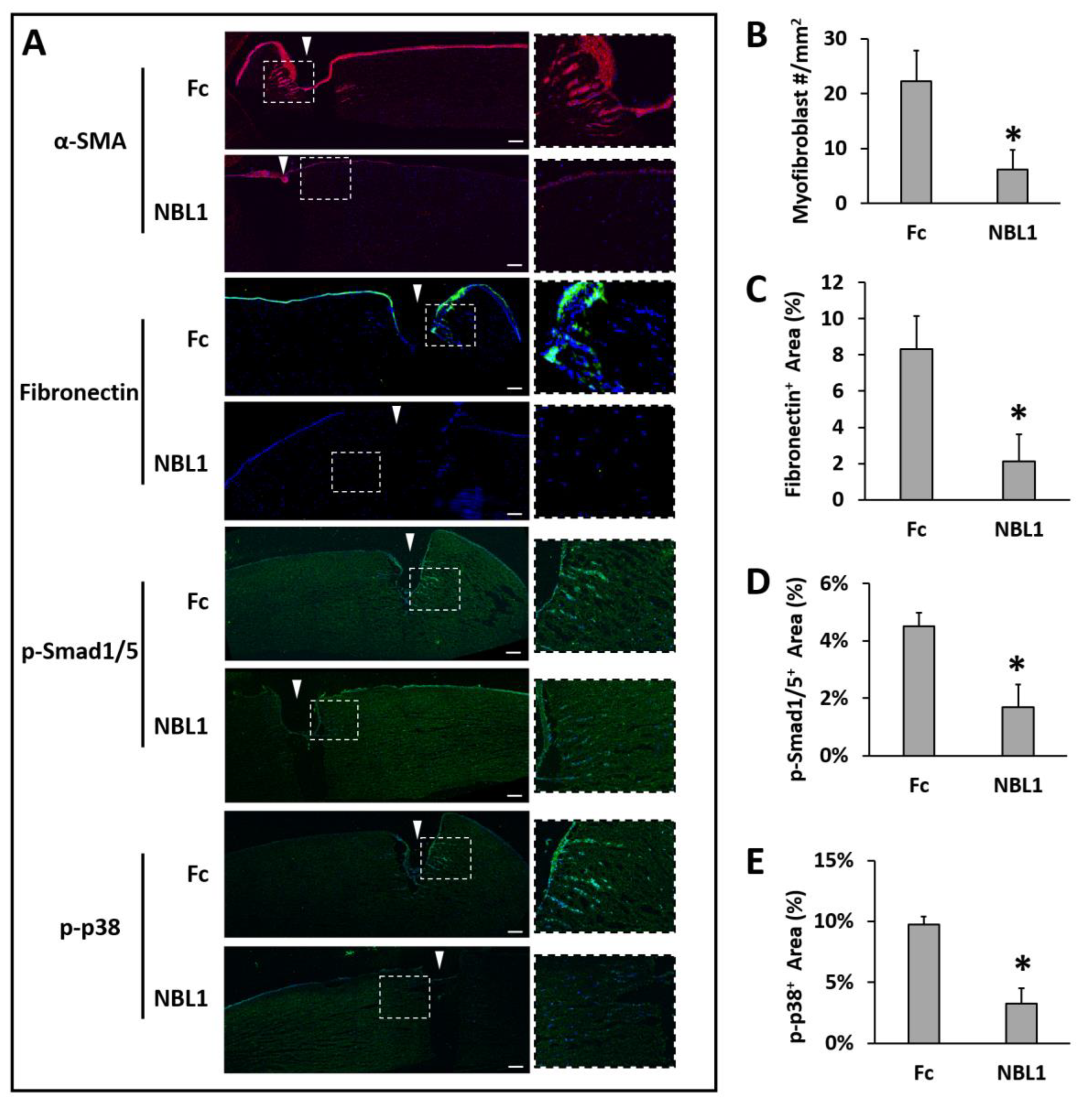 Biomolecules 13 01570 g004