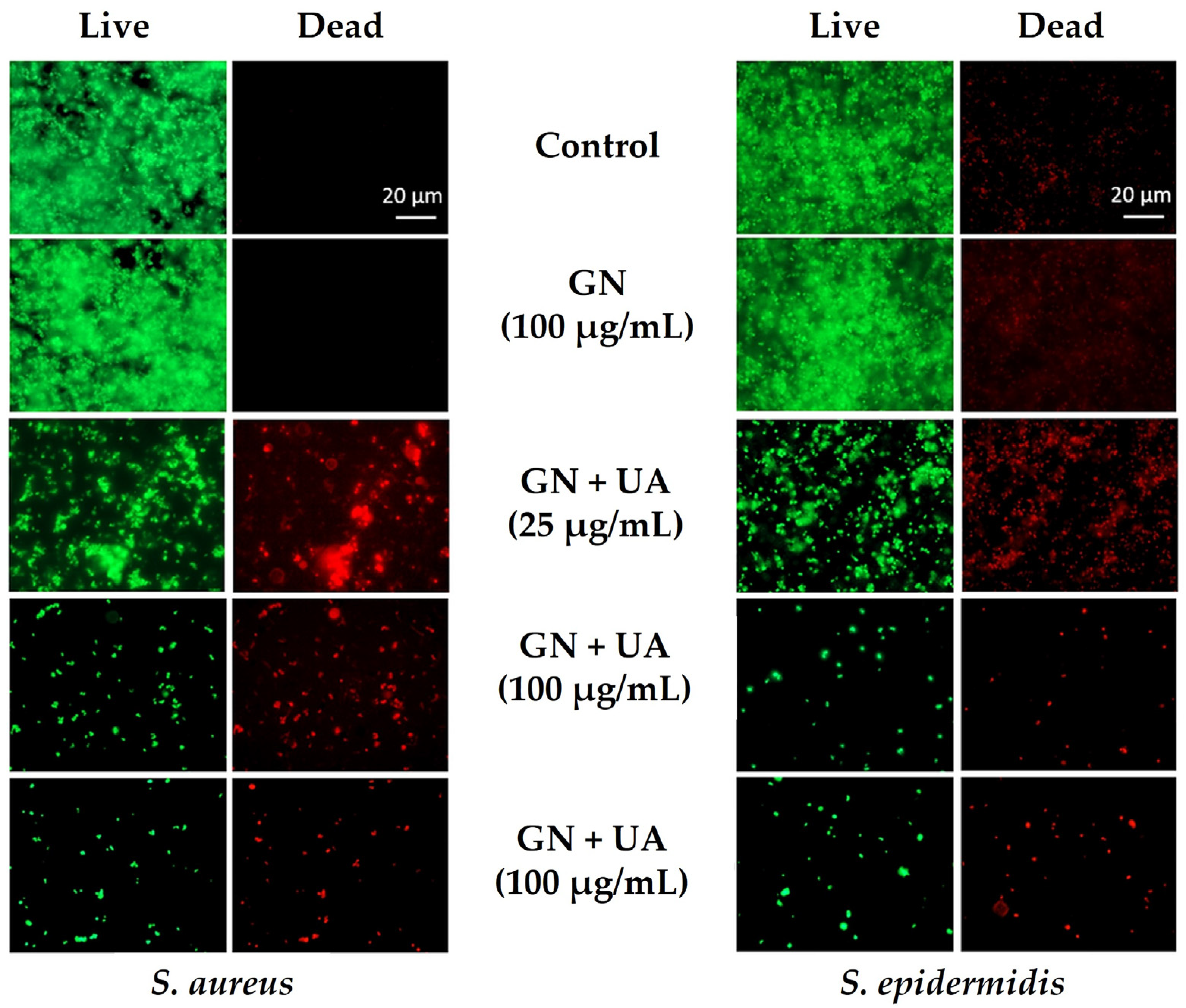 Biomolecules 13 01571 g005