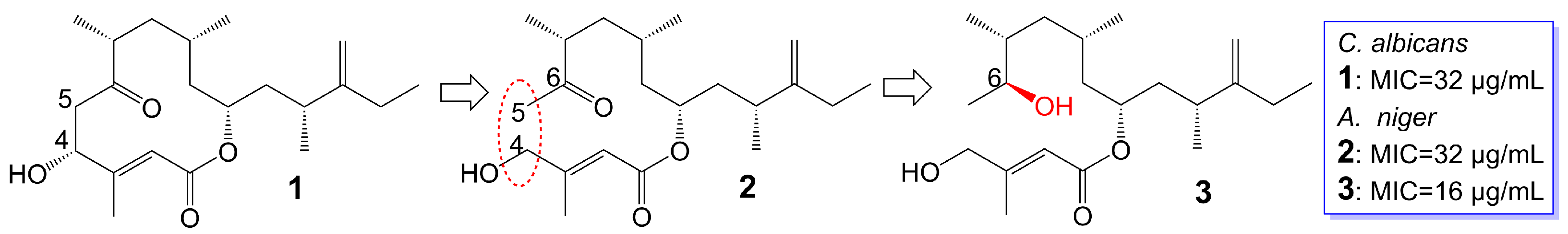 Biomolecules 13 01572 g001 Biomolecules 13 01572 g001