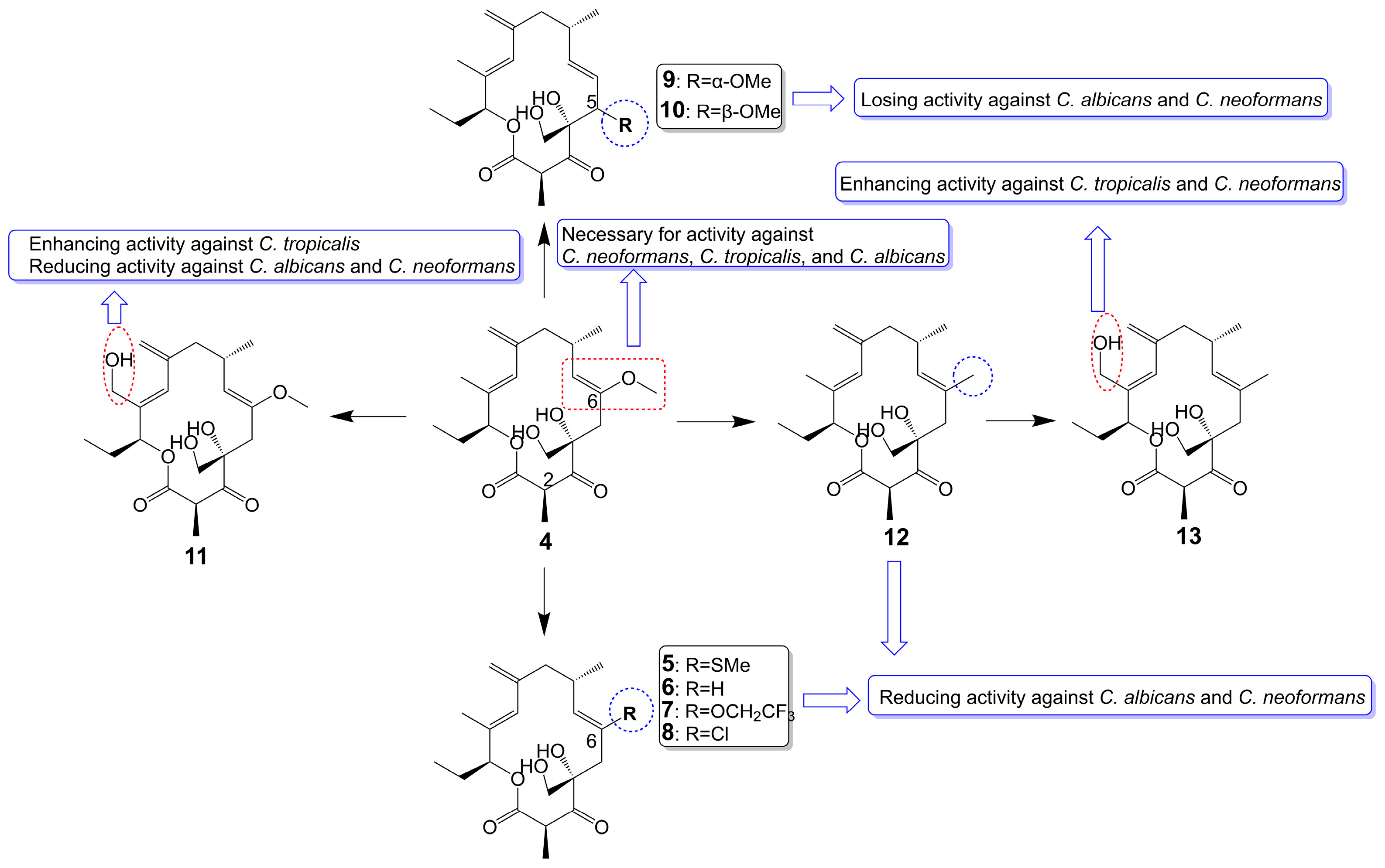 Biomolecules 13 01572 g002 Biomolecules 13 01572 g002