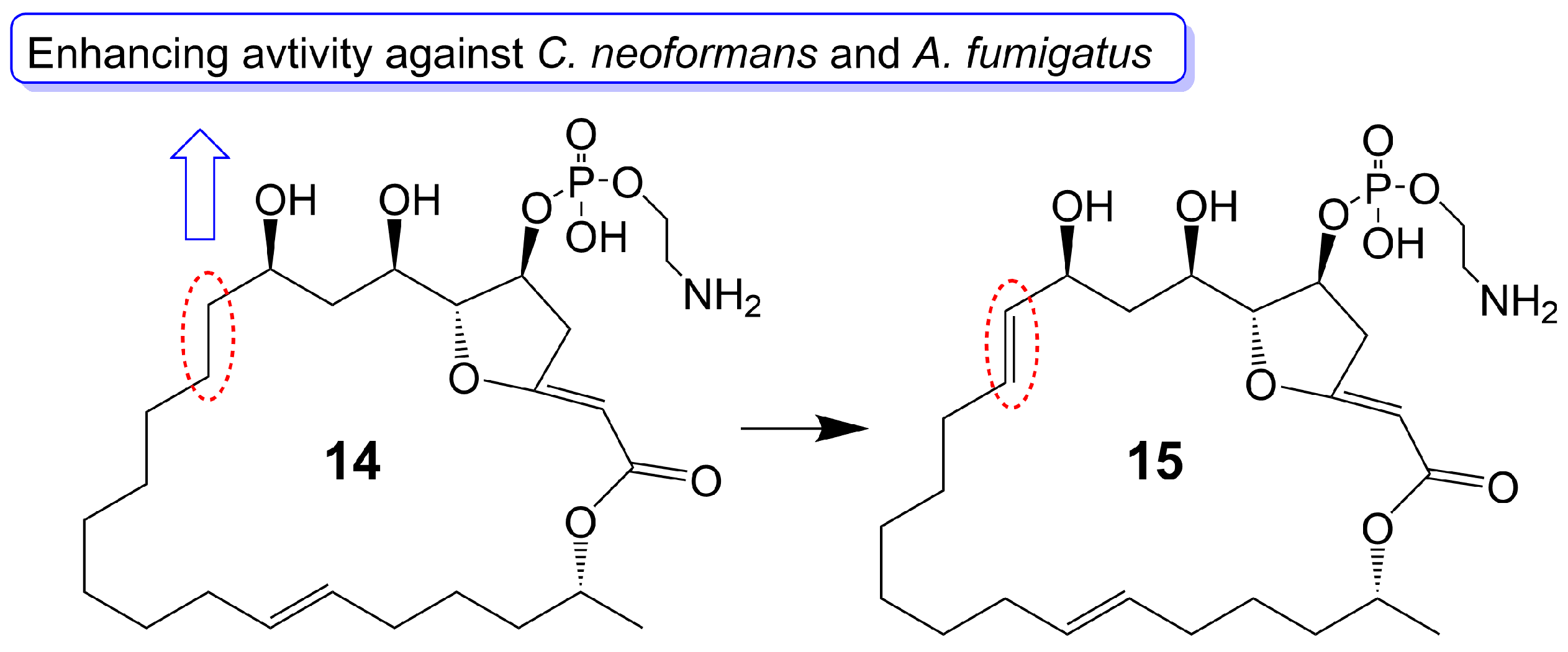Biomolecules 13 01572 g003 Biomolecules 13 01572 g003