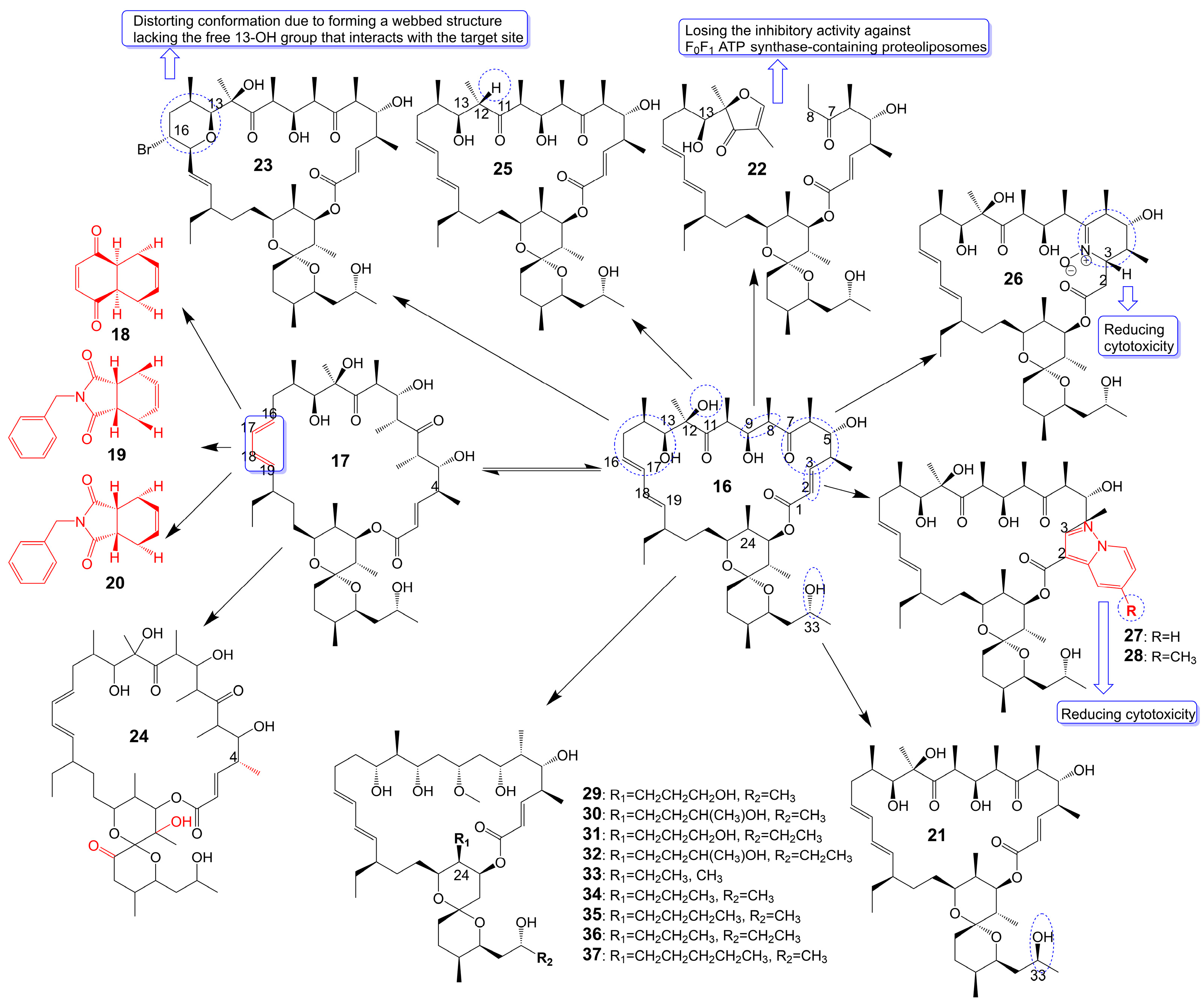 Biomolecules 13 01572 g004 Biomolecules 13 01572 g004