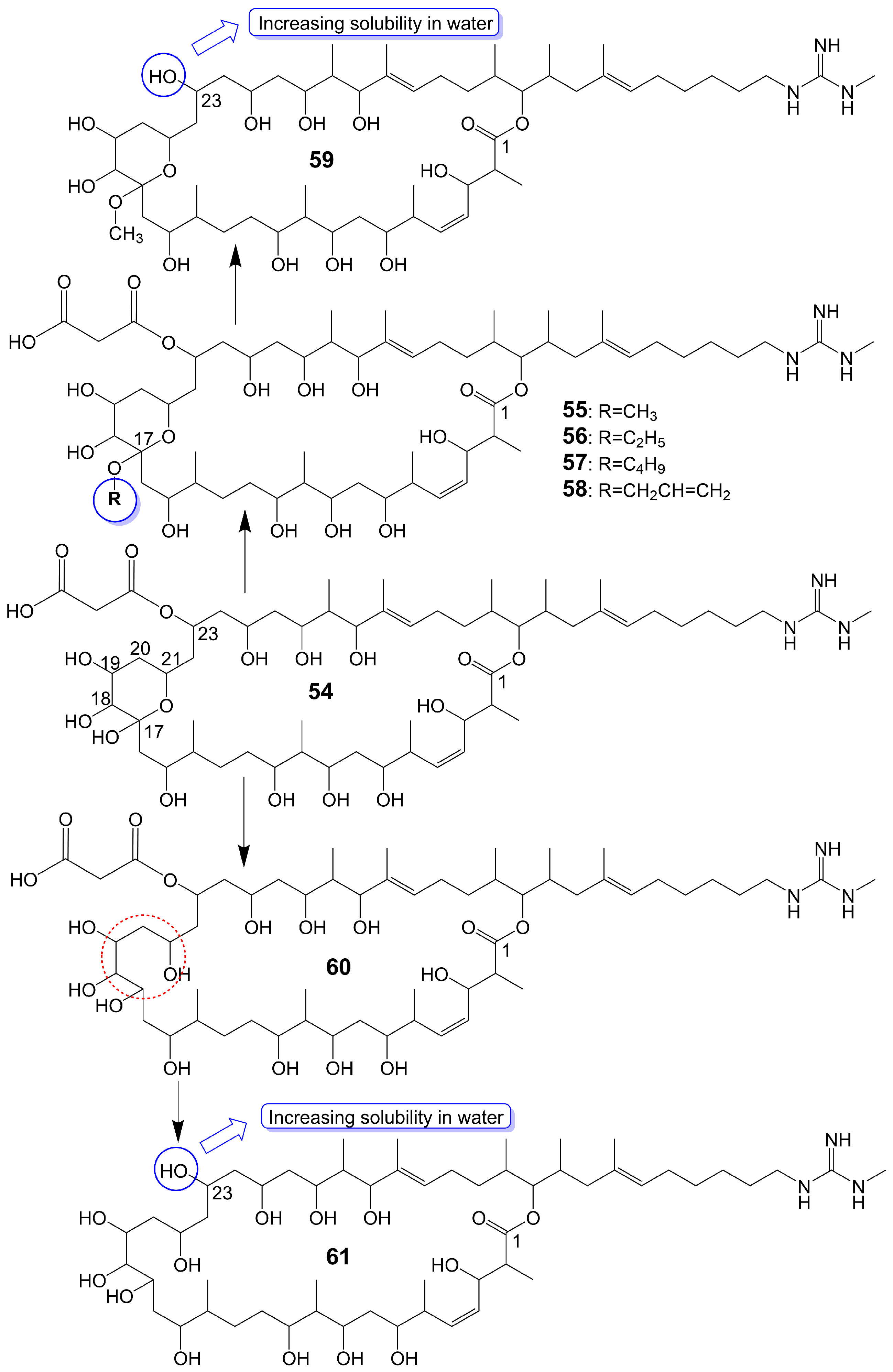 Biomolecules 13 01572 g007 Biomolecules 13 01572 g007