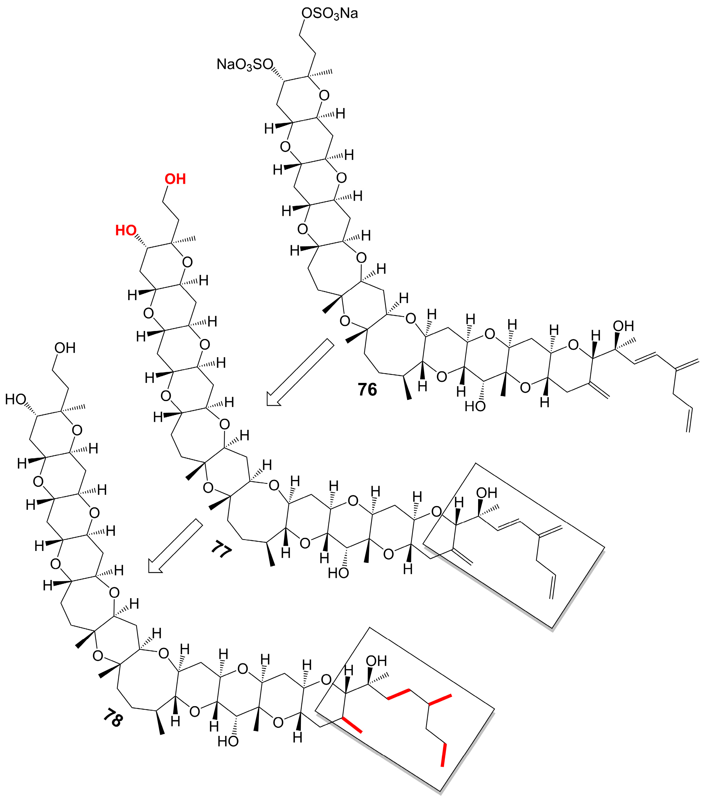 Biomolecules 13 01572 g010 Biomolecules 13 01572 g010