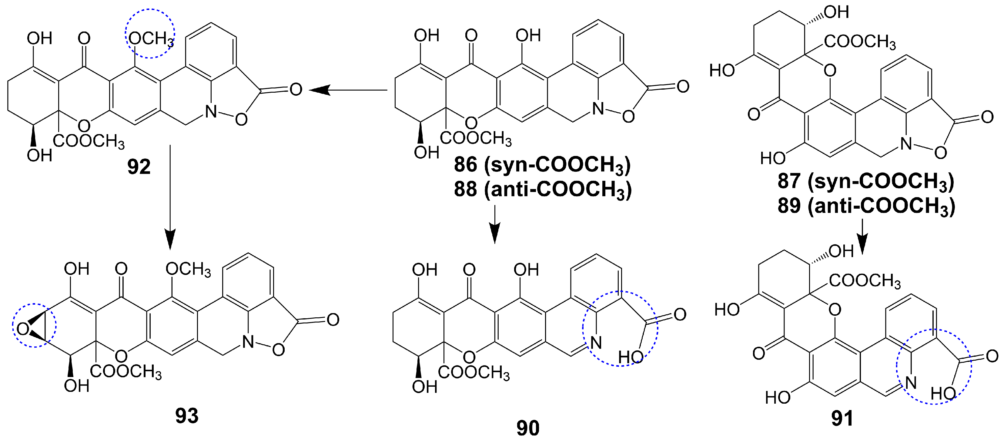 Biomolecules 13 01572 g013 Biomolecules 13 01572 g013