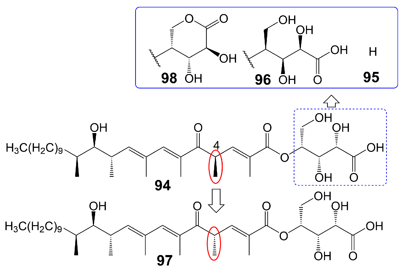 Biomolecules 13 01572 g014 Biomolecules 13 01572 g014