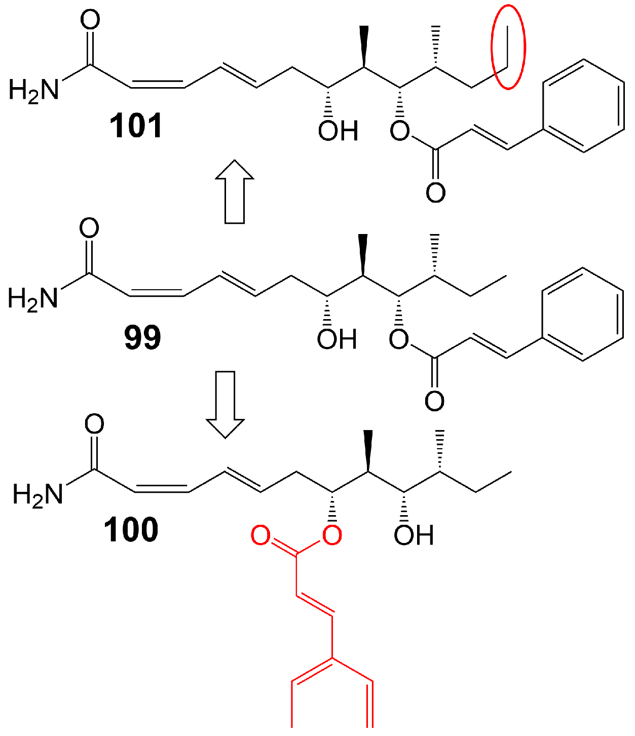 Biomolecules 13 01572 g015 Biomolecules 13 01572 g015