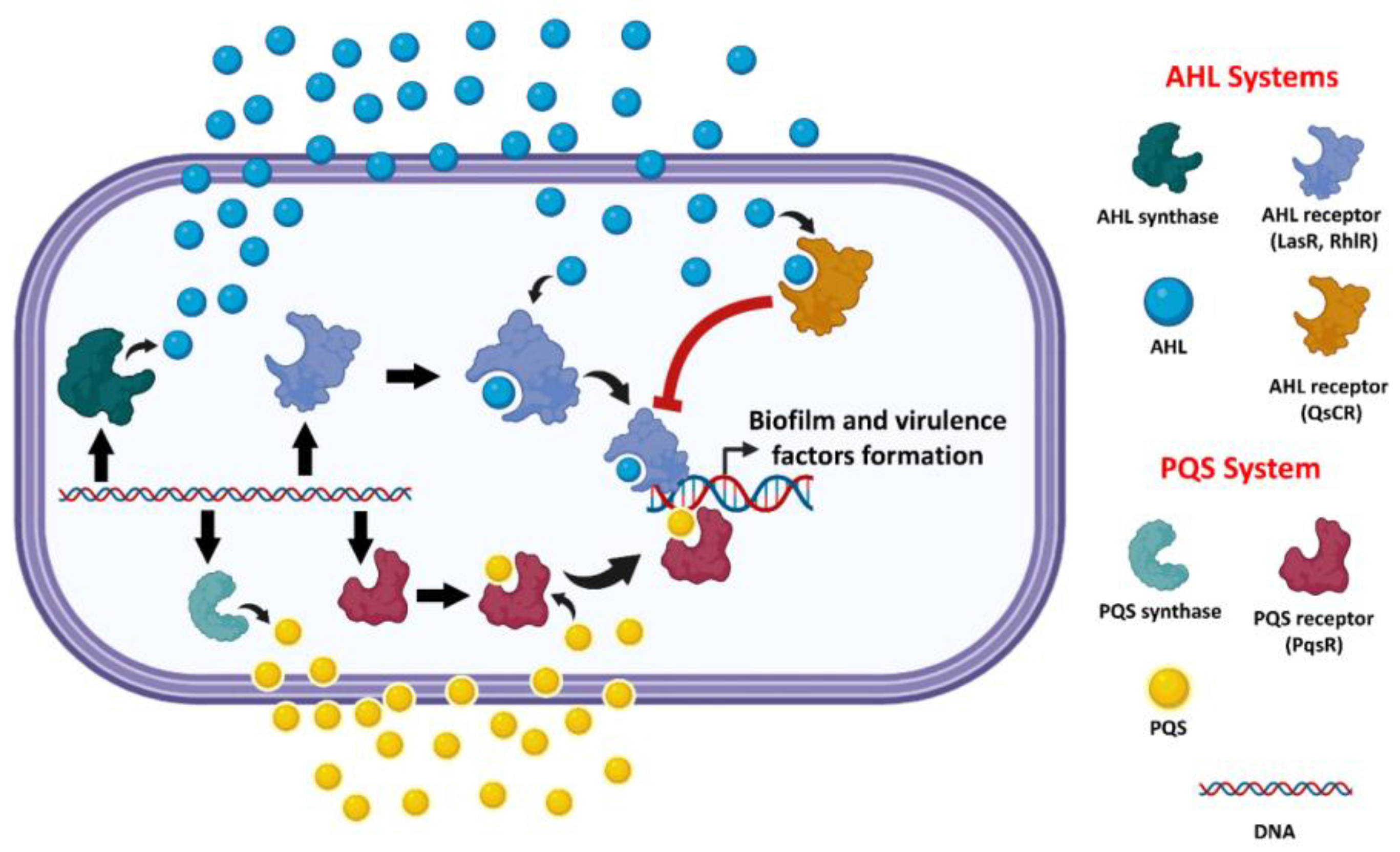Biomolecules 13 01573 g002