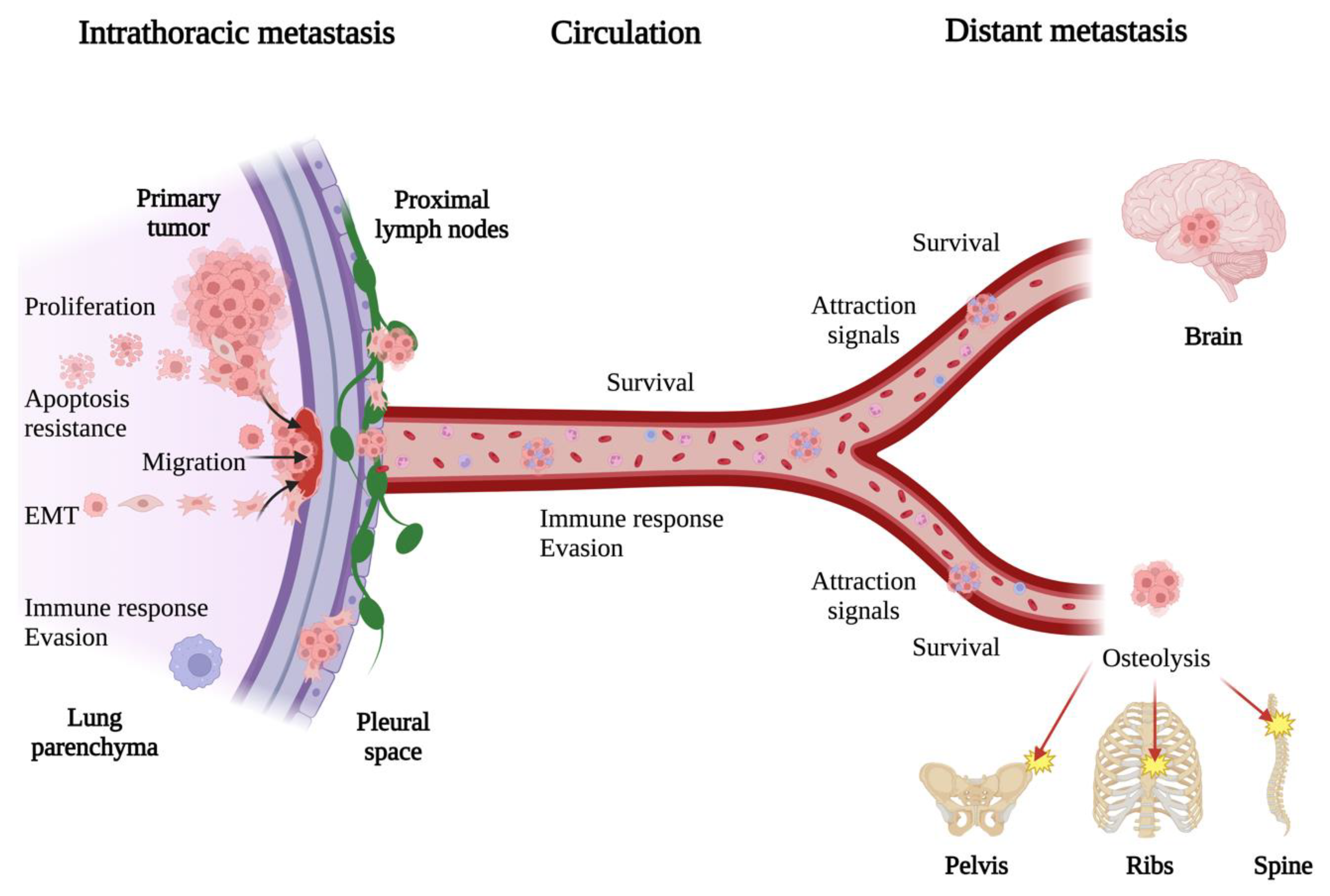 Biomolecules 13 01574 g002