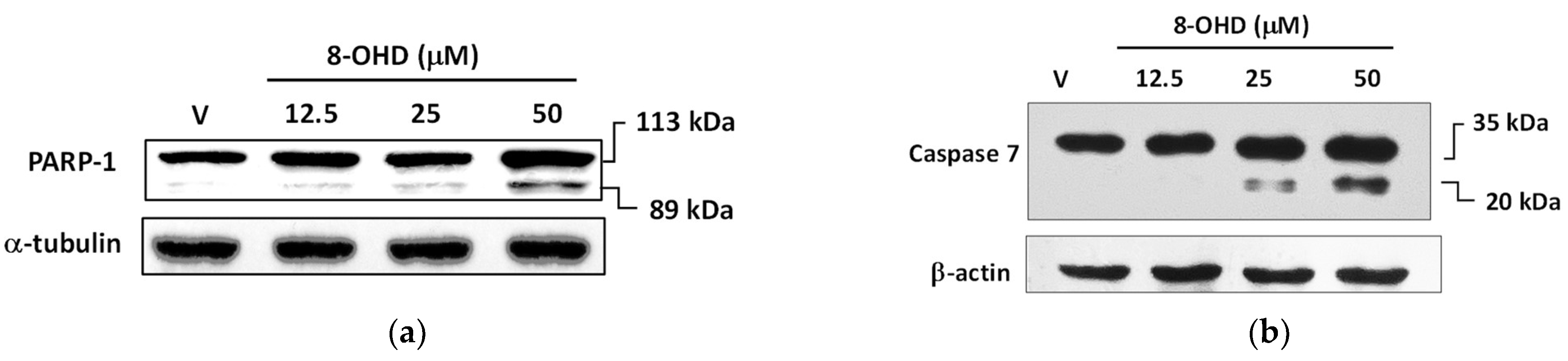 Biomolecules 13 01575 g003 Biomolecules 13 01575 g003