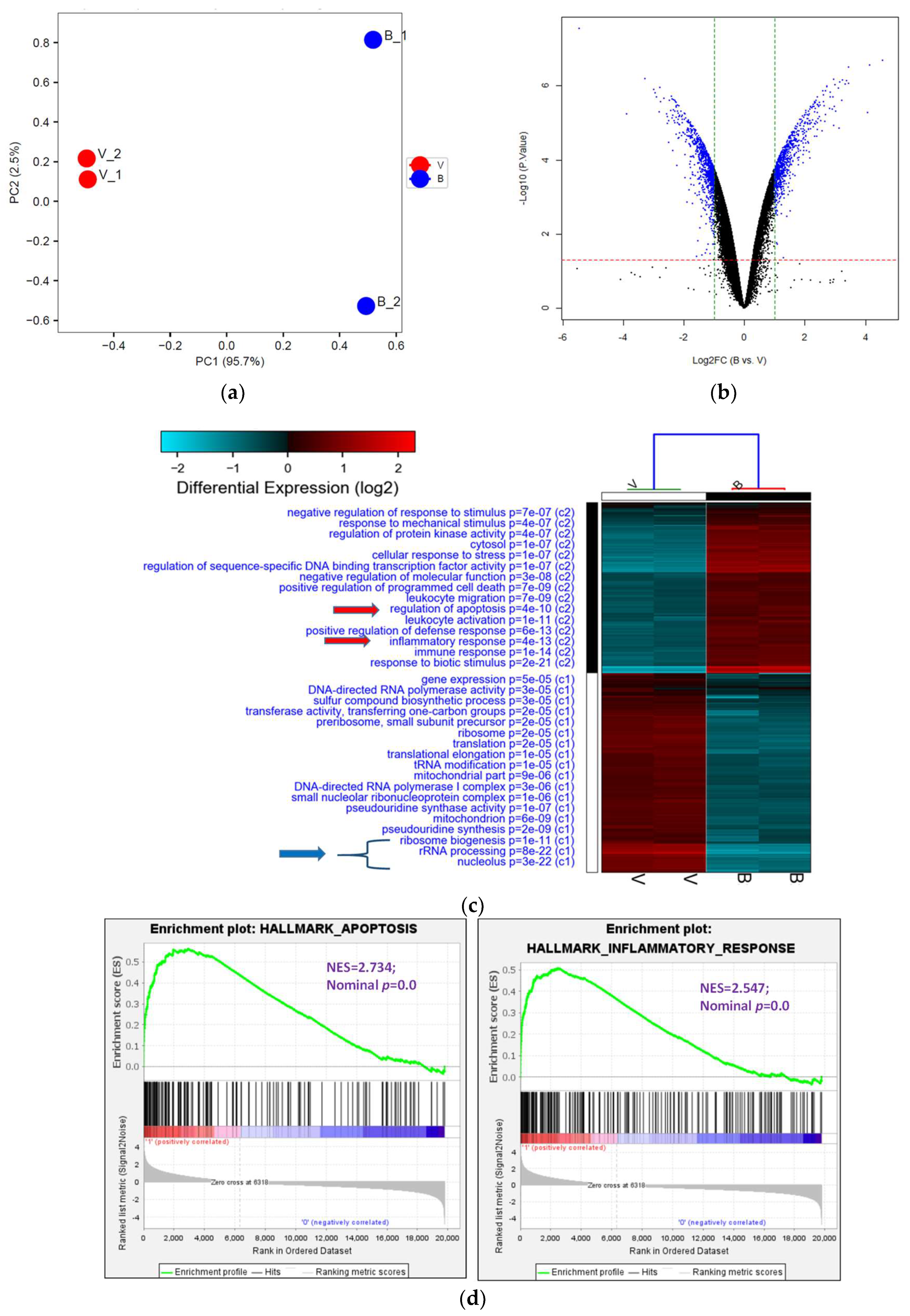Biomolecules 13 01575 g004a Biomolecules 13 01575 g004a