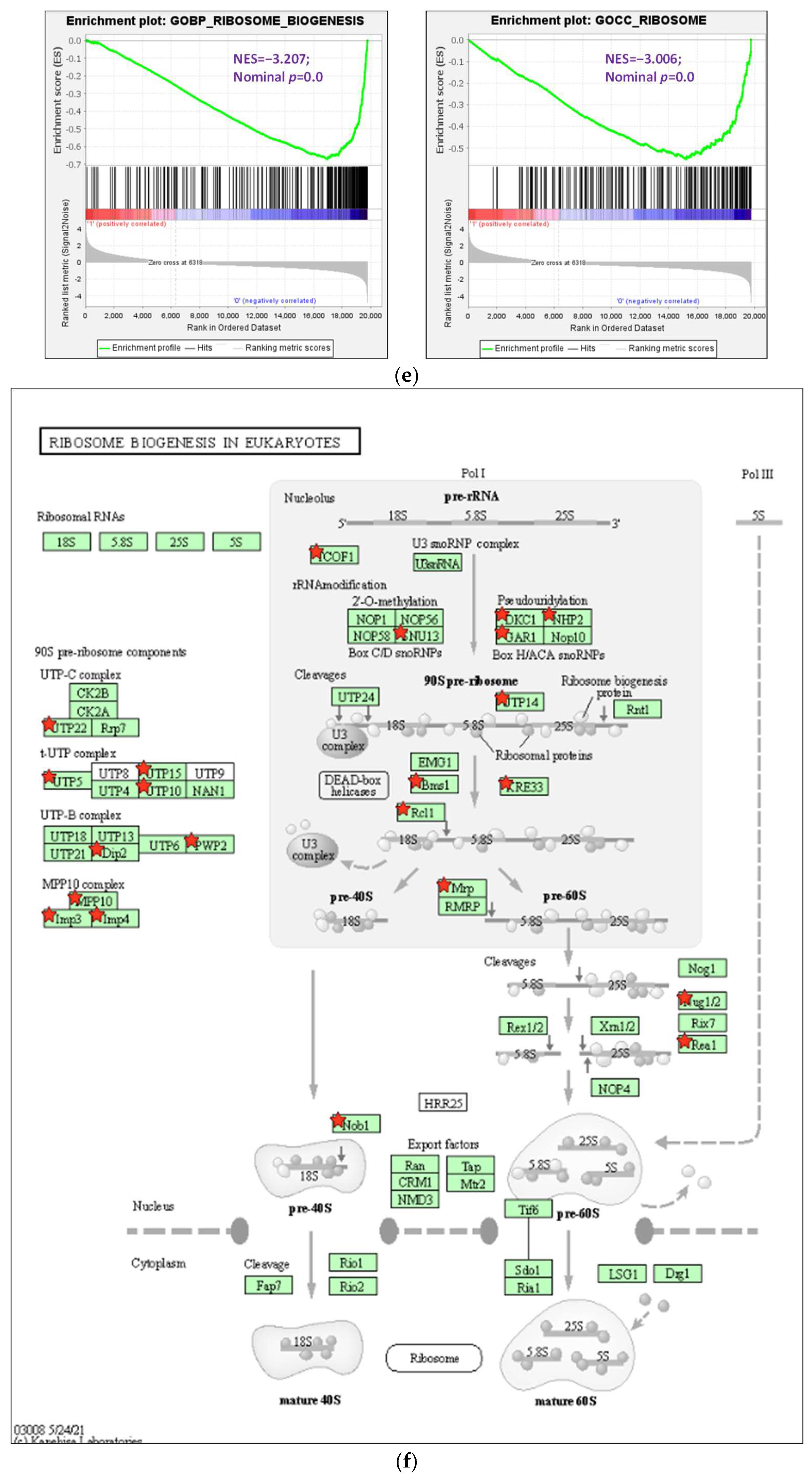 Biomolecules 13 01575 g004b Biomolecules 13 01575 g004b