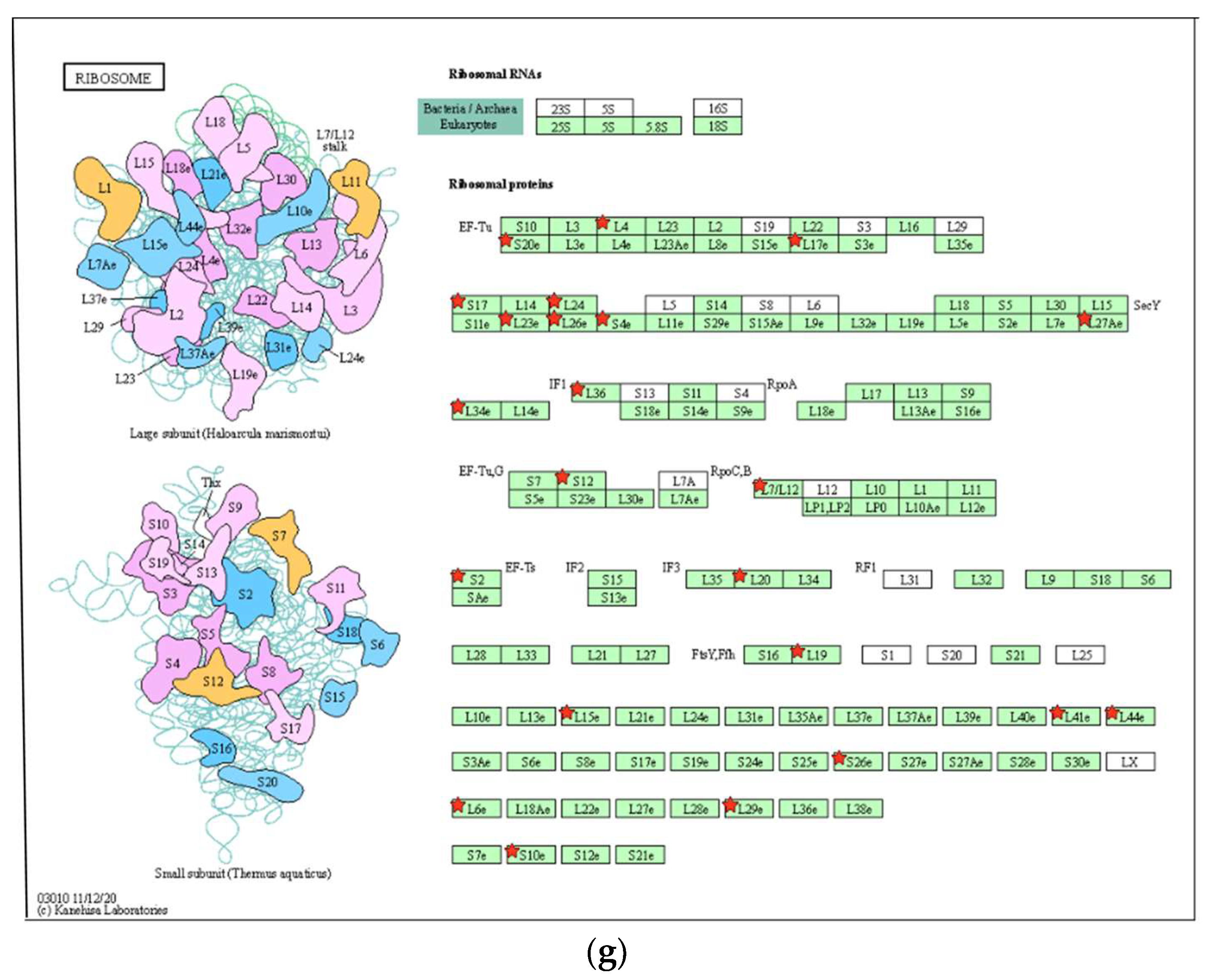 Biomolecules 13 01575 g004c Biomolecules 13 01575 g004c