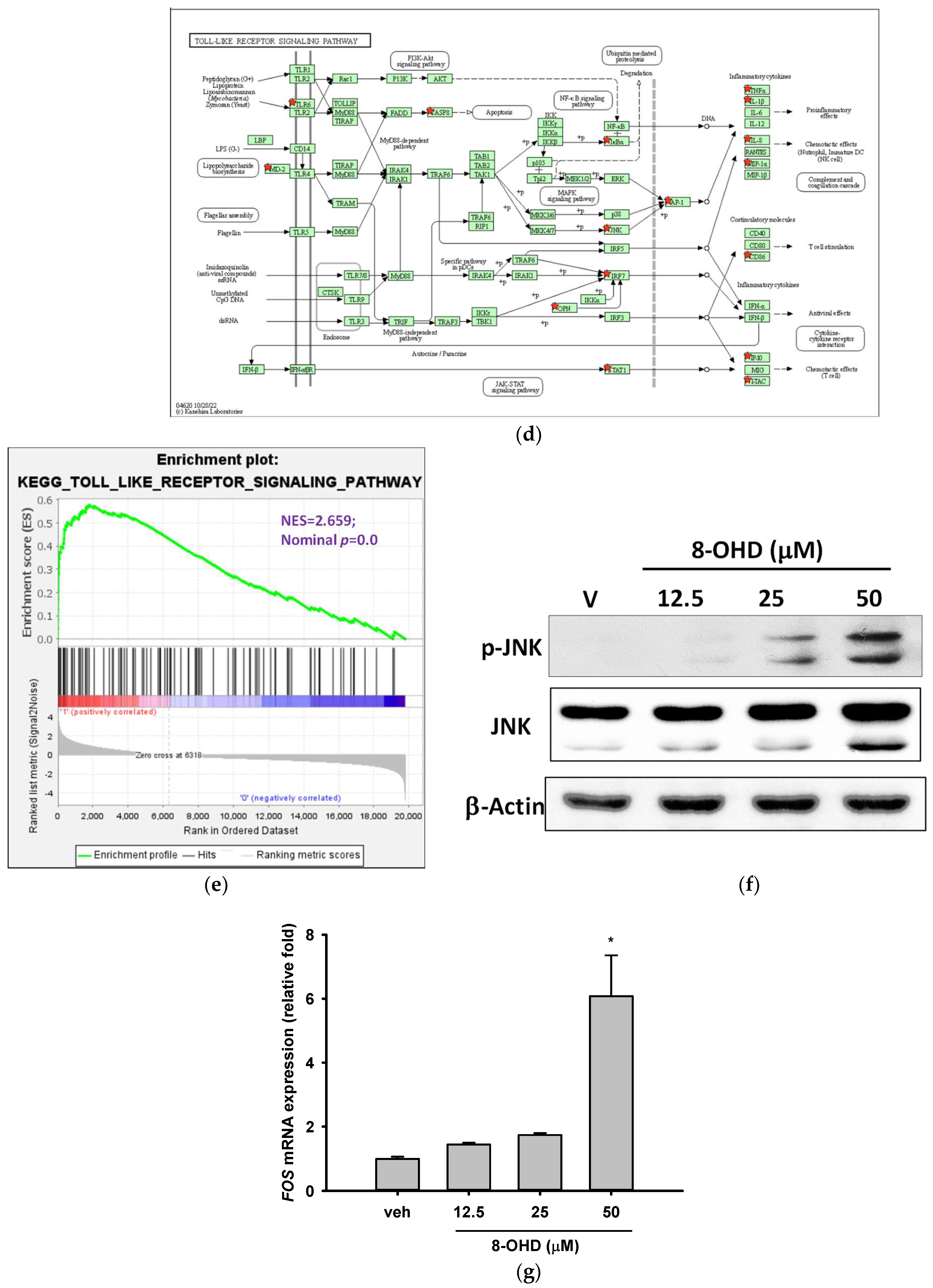 Biomolecules 13 01575 g006b Biomolecules 13 01575 g006b