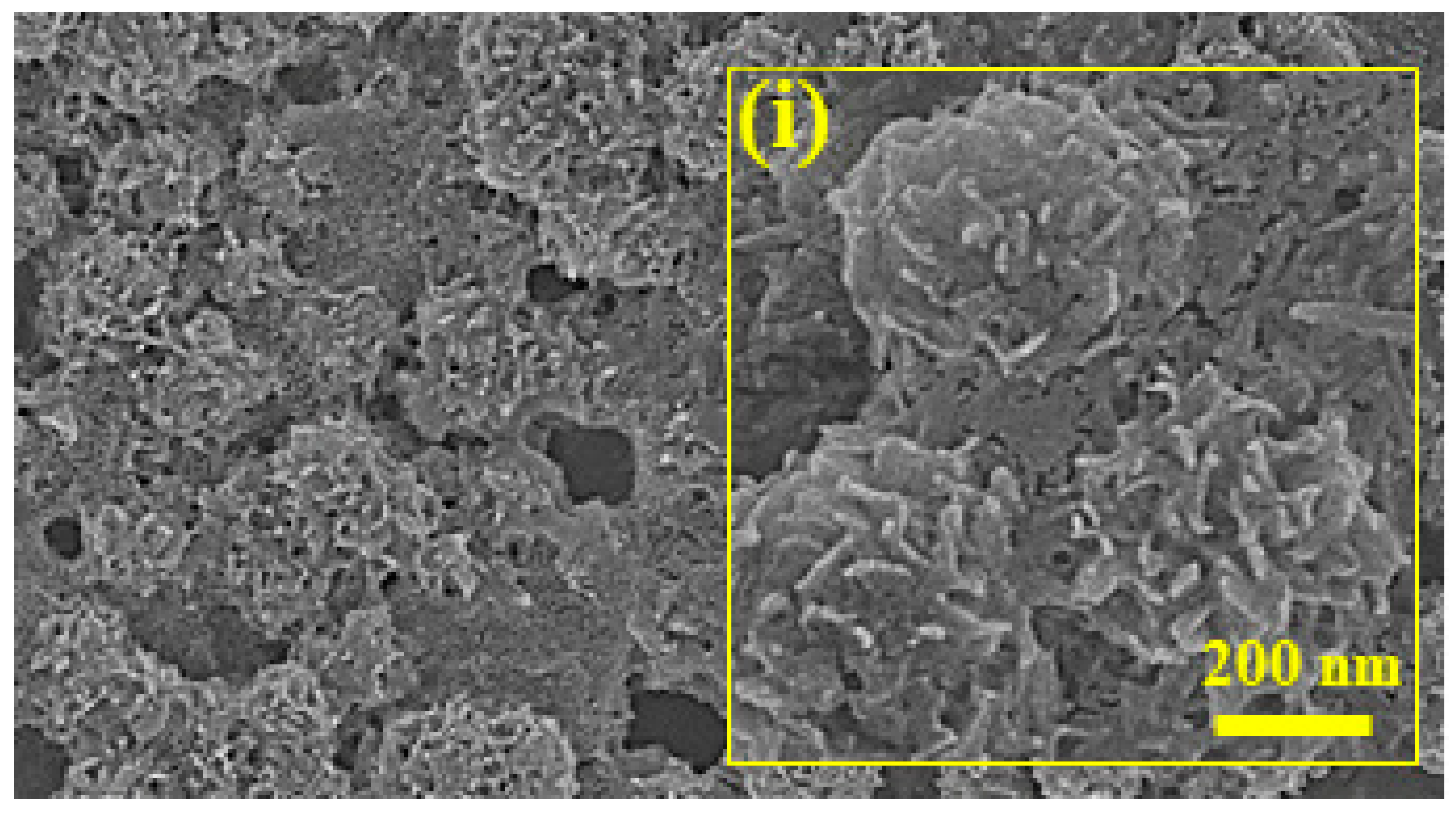 Biomolecules 13 01576 g001