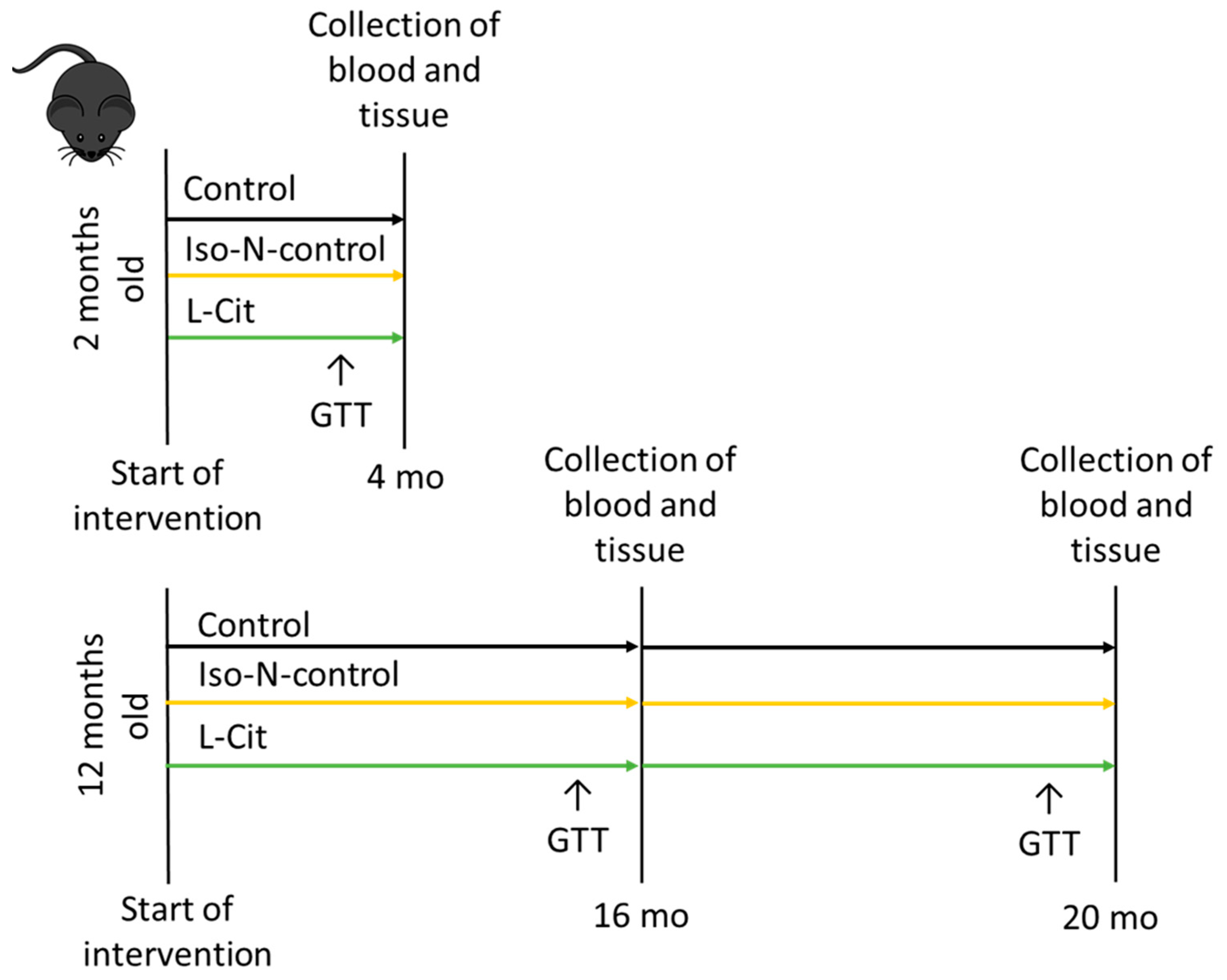 Biomolecules 13 01579 g001