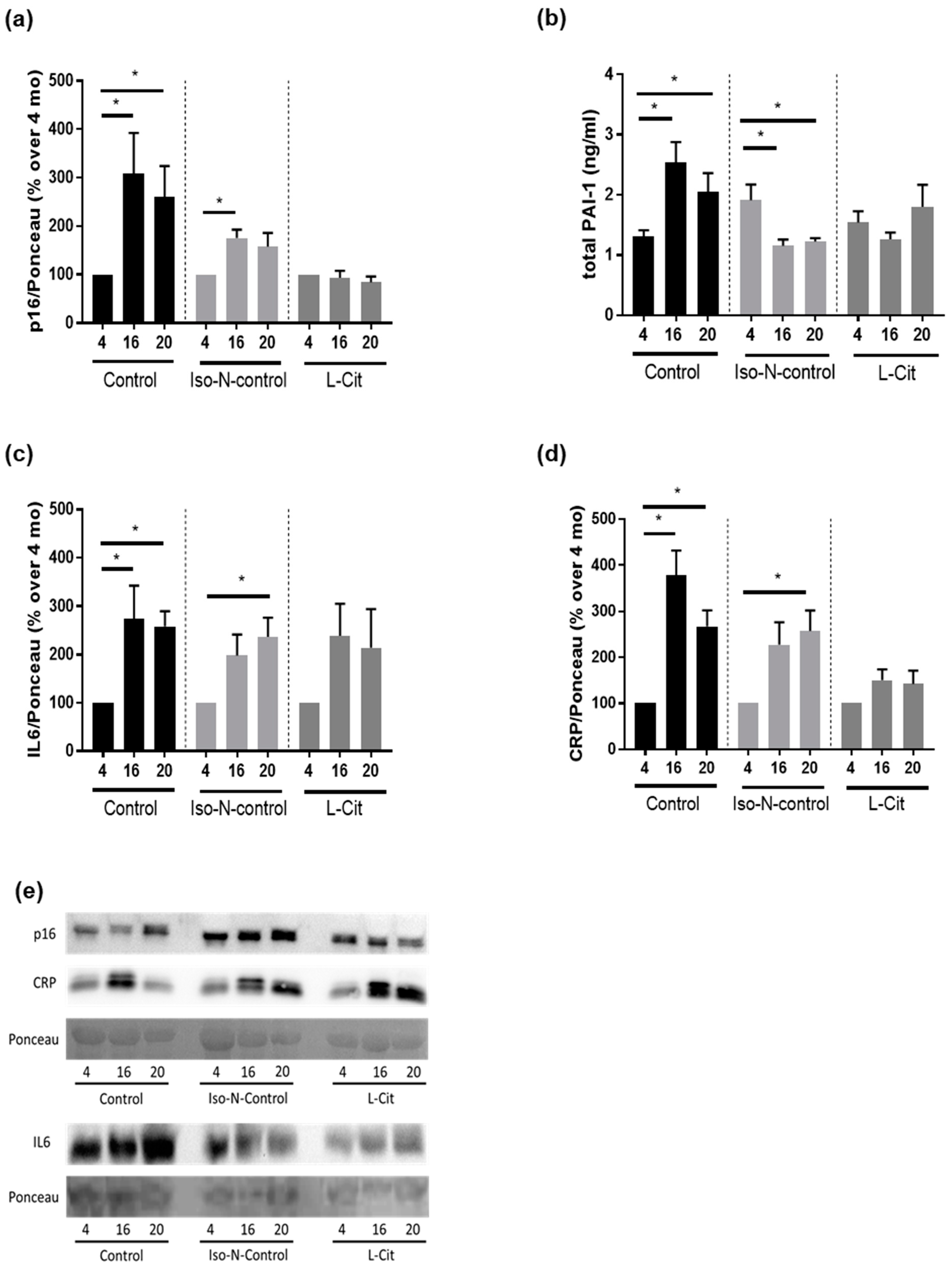 Biomolecules 13 01579 g003