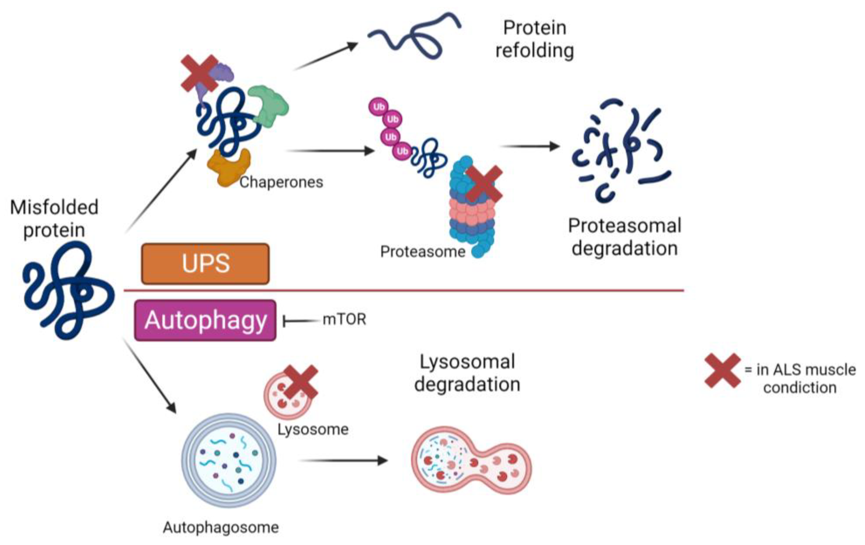 Biomolecules 13 01582 g002