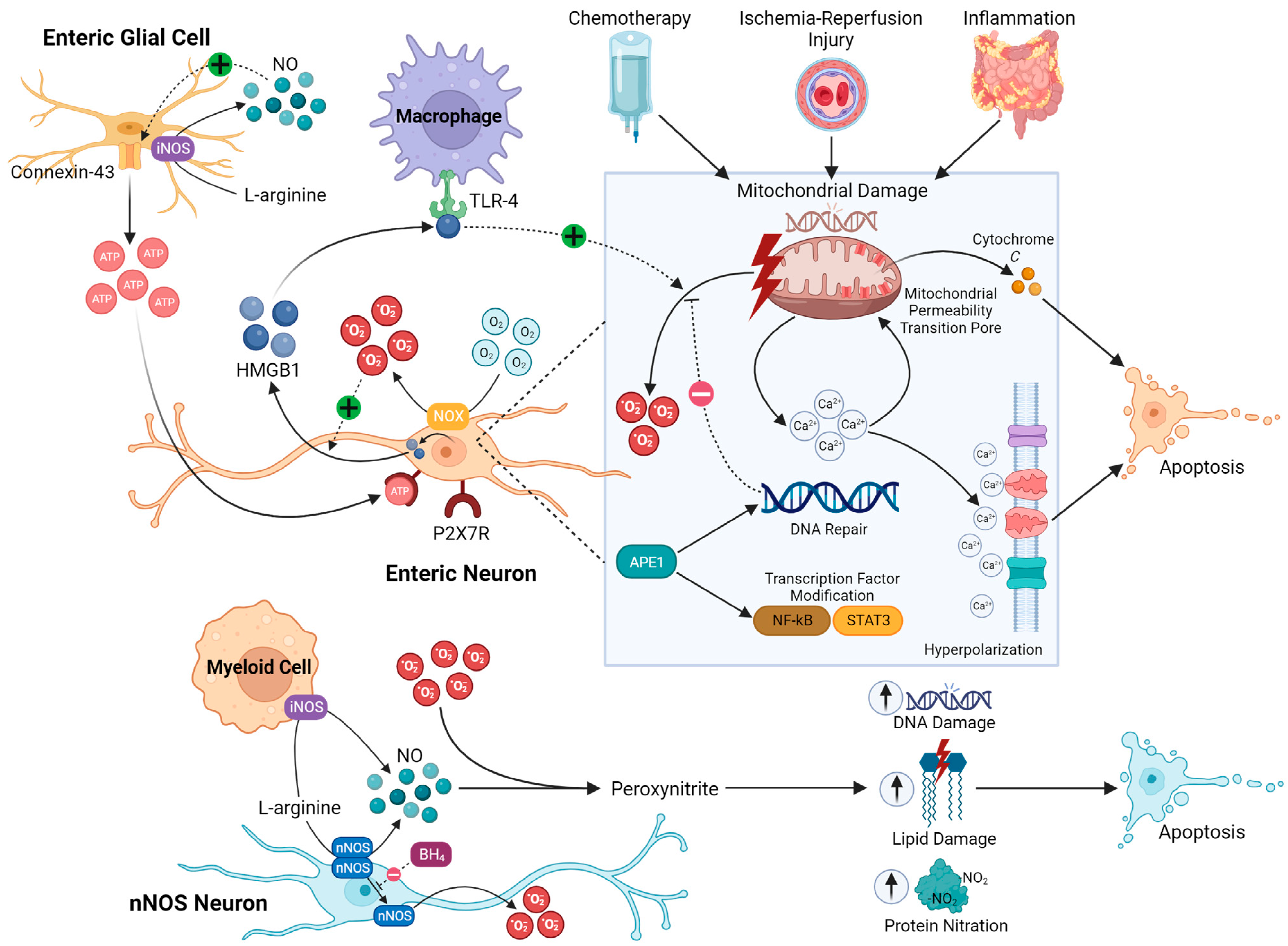 Biomolecules 13 01586 g002
