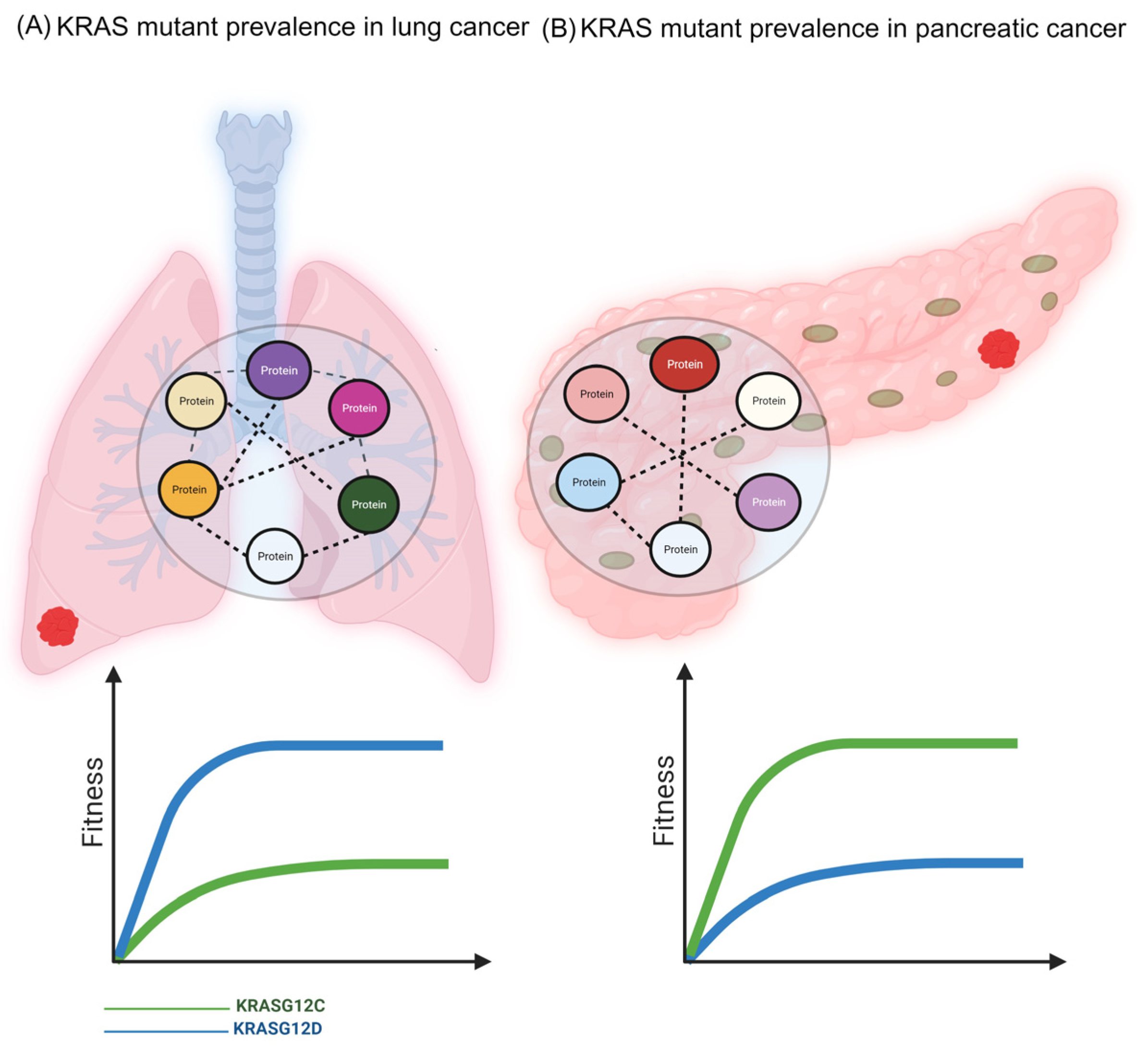 Biomolecules 13 01587 g001