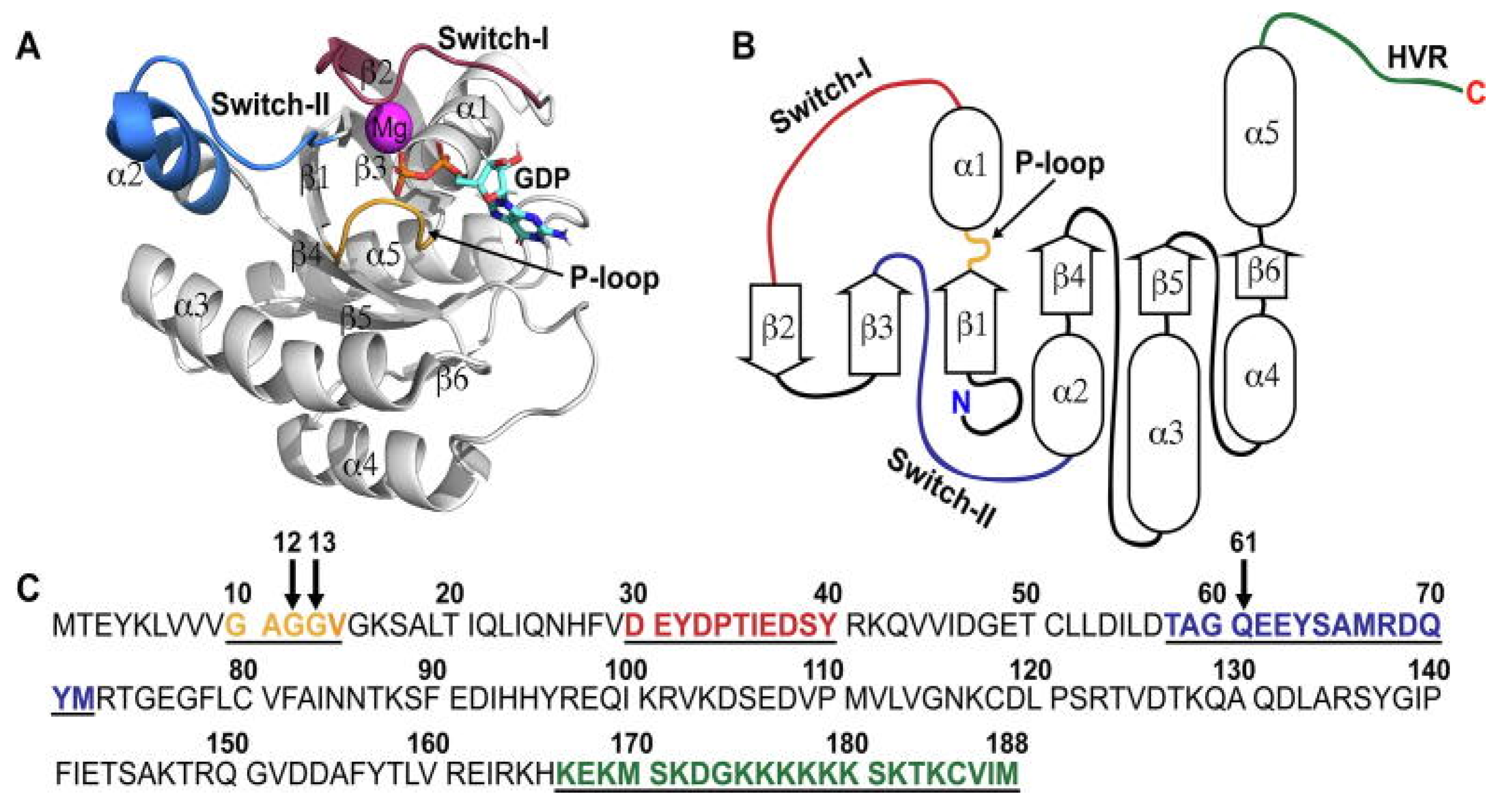 Biomolecules 13 01587 g002
